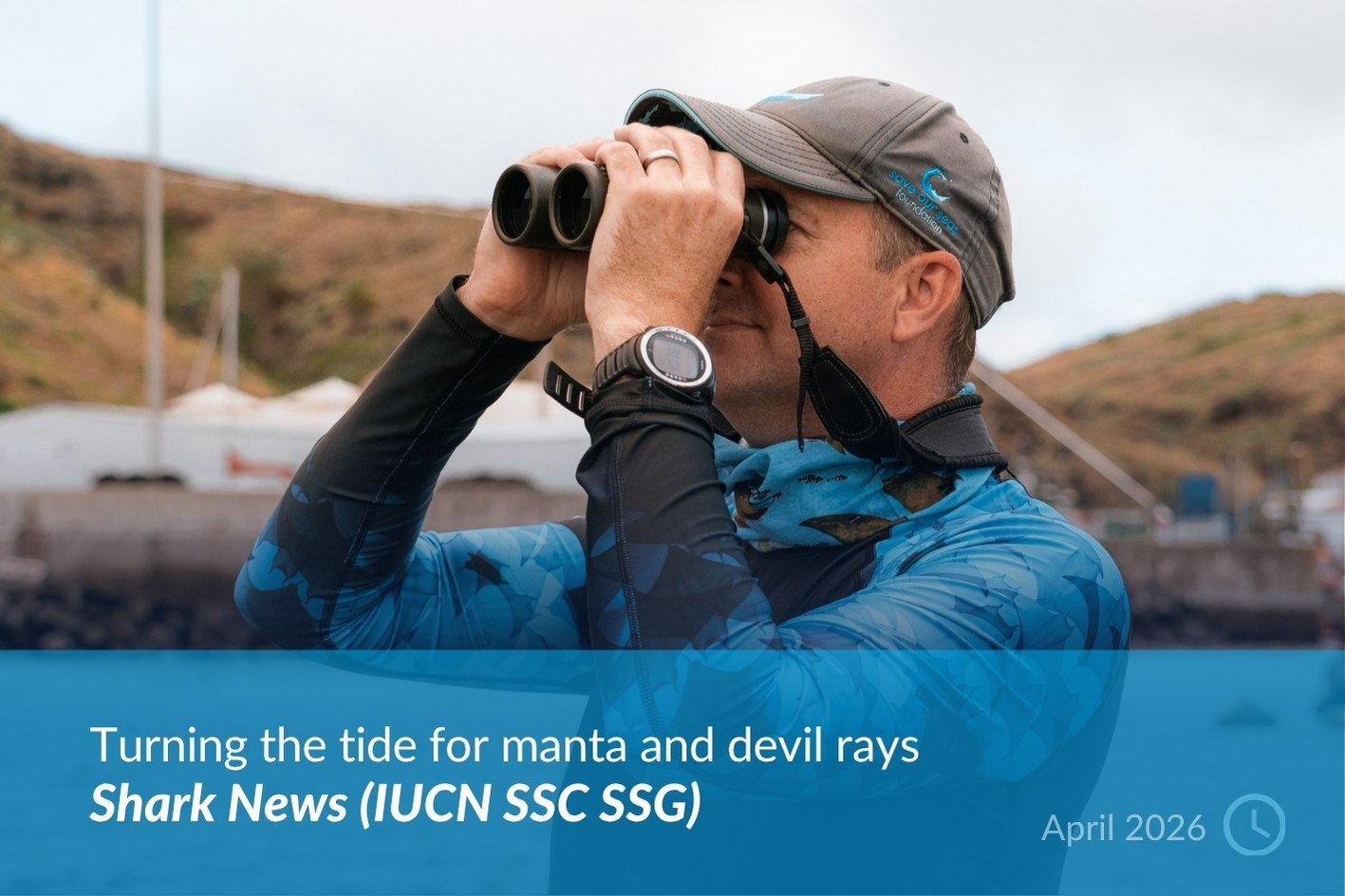 SHARK News (IUCN SSC SSF).jpg