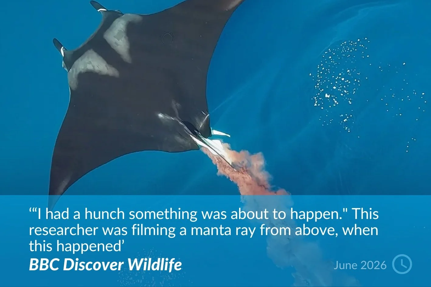 BBC Discover Wildlife.jpg