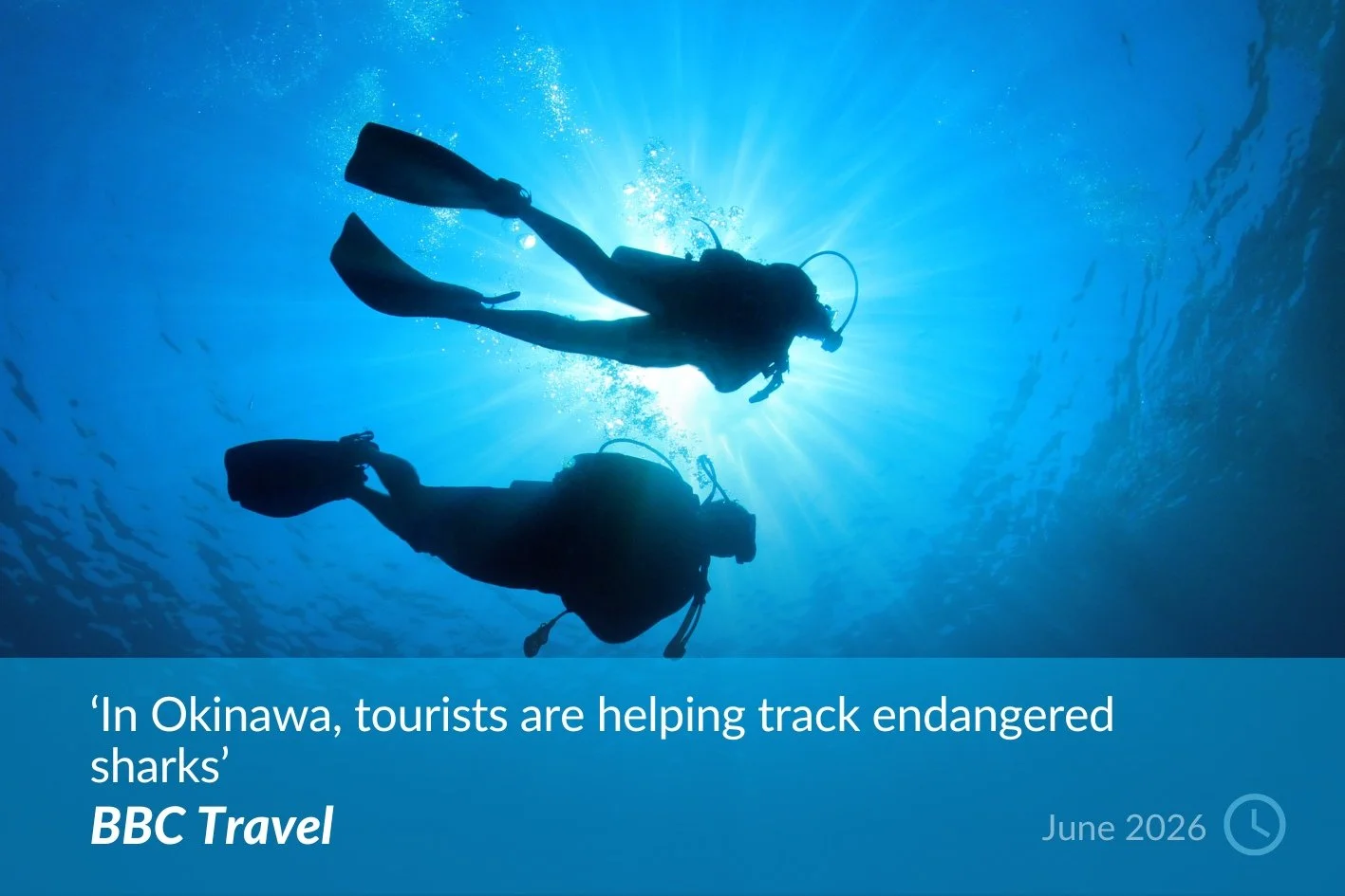 BBC Travel.jpg
