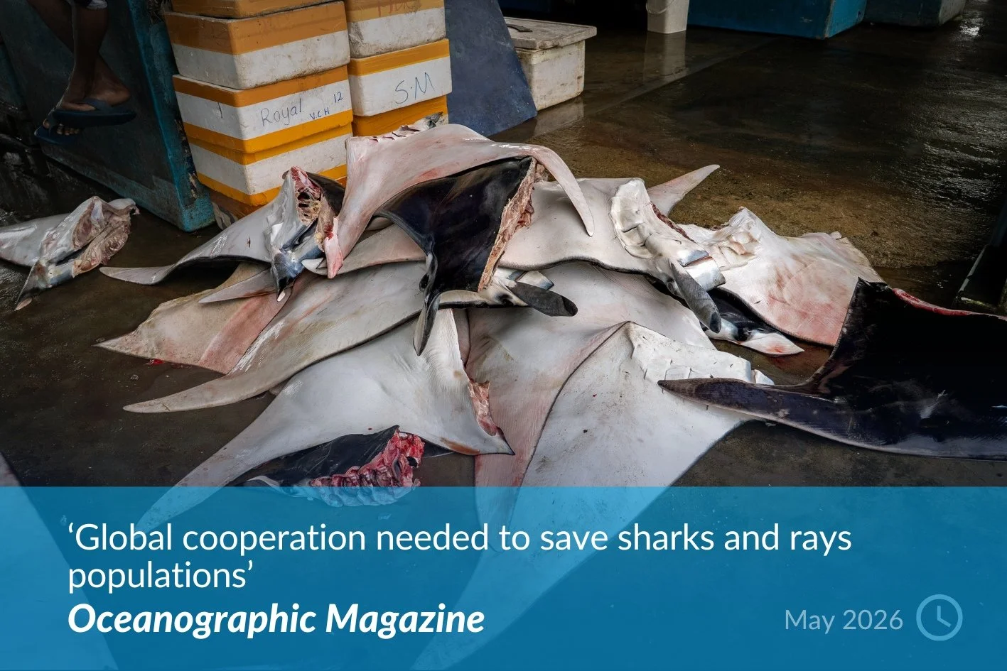 Oceanographic Magazine.jpg