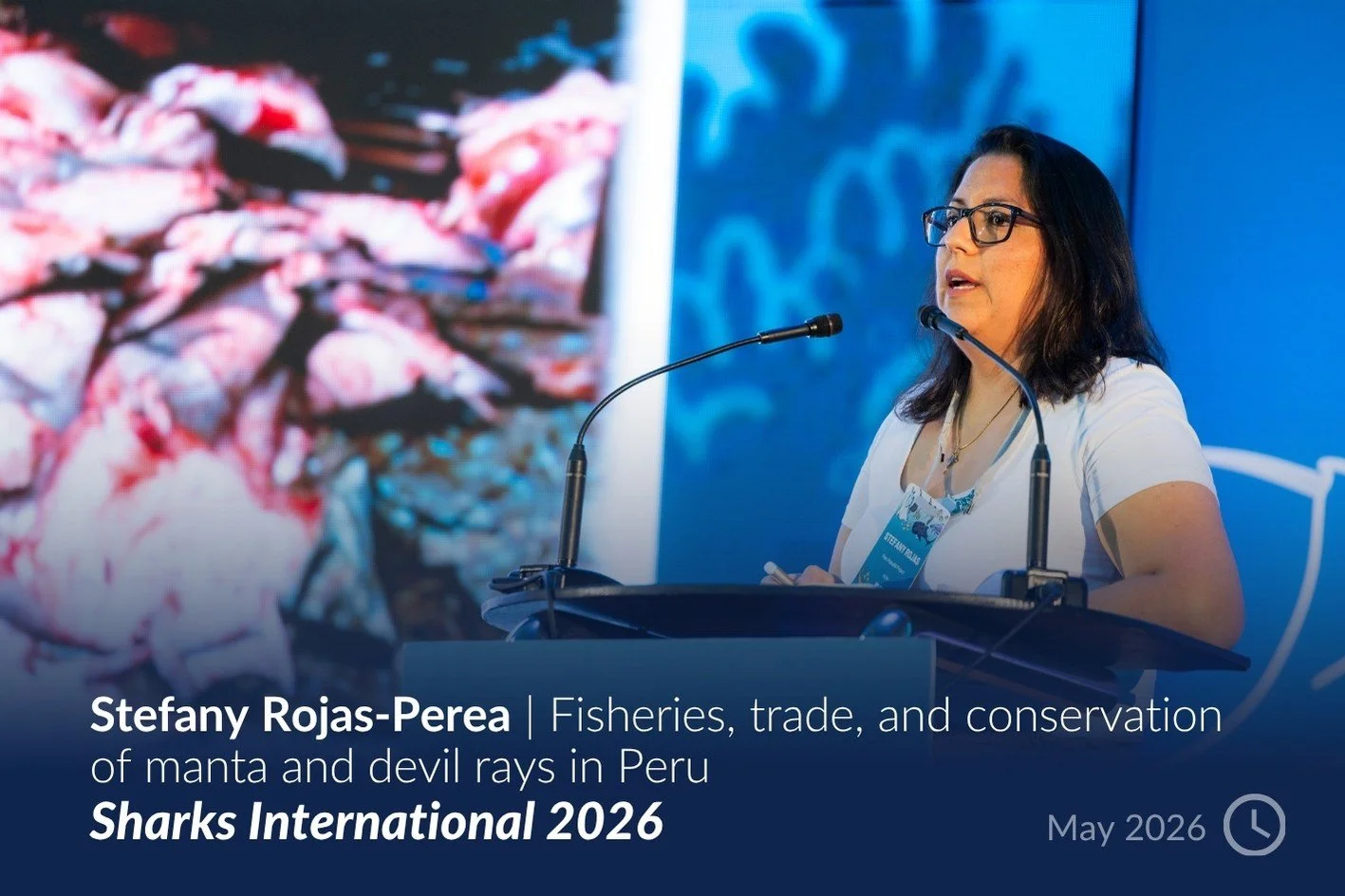 Stefany Rojas‑Perea _ Fisheries, trade, and conservation of manta and devil rays in Peru.jpg
