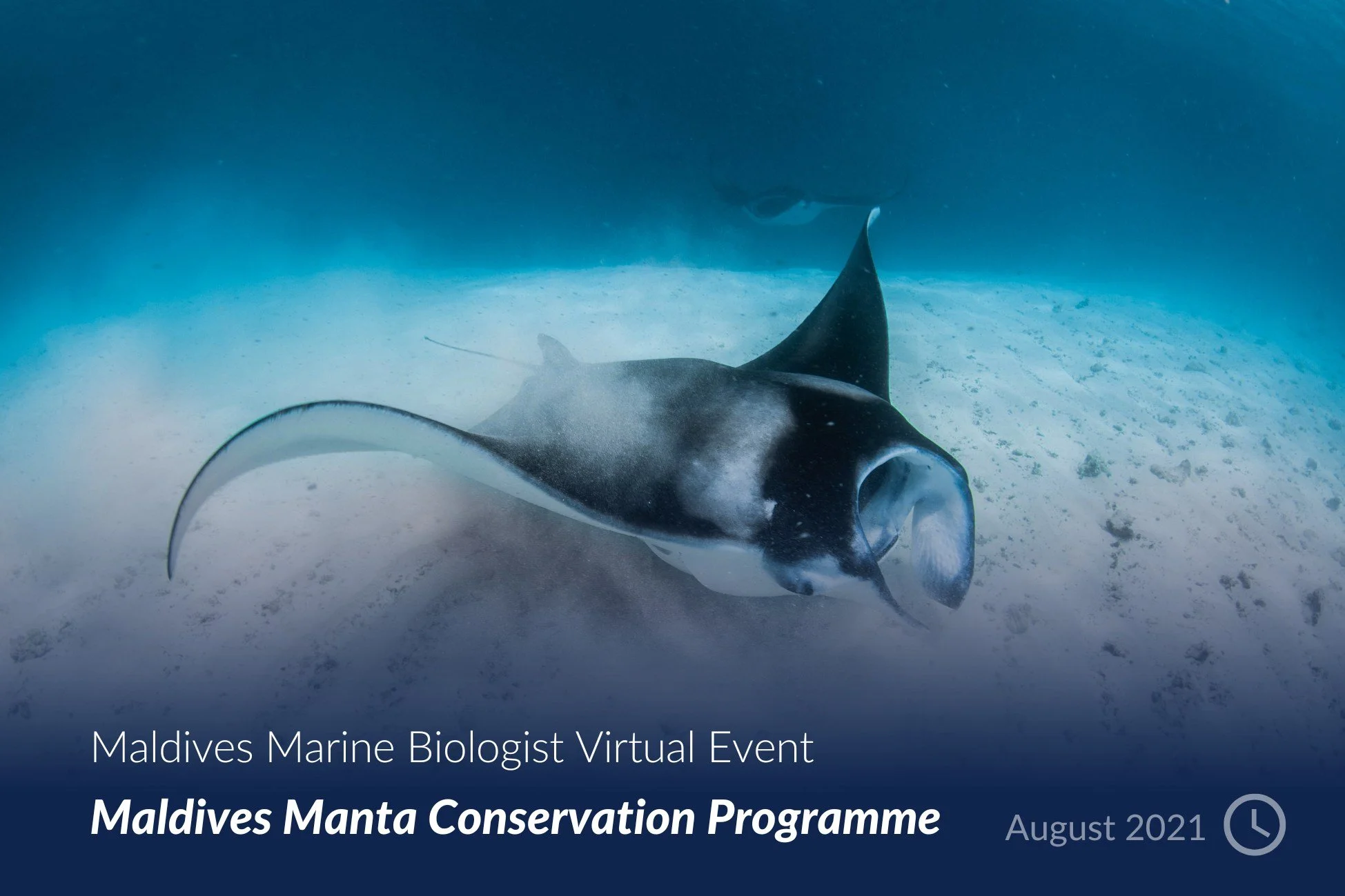 Maldives Marine Biologist Virtual Event.jpg