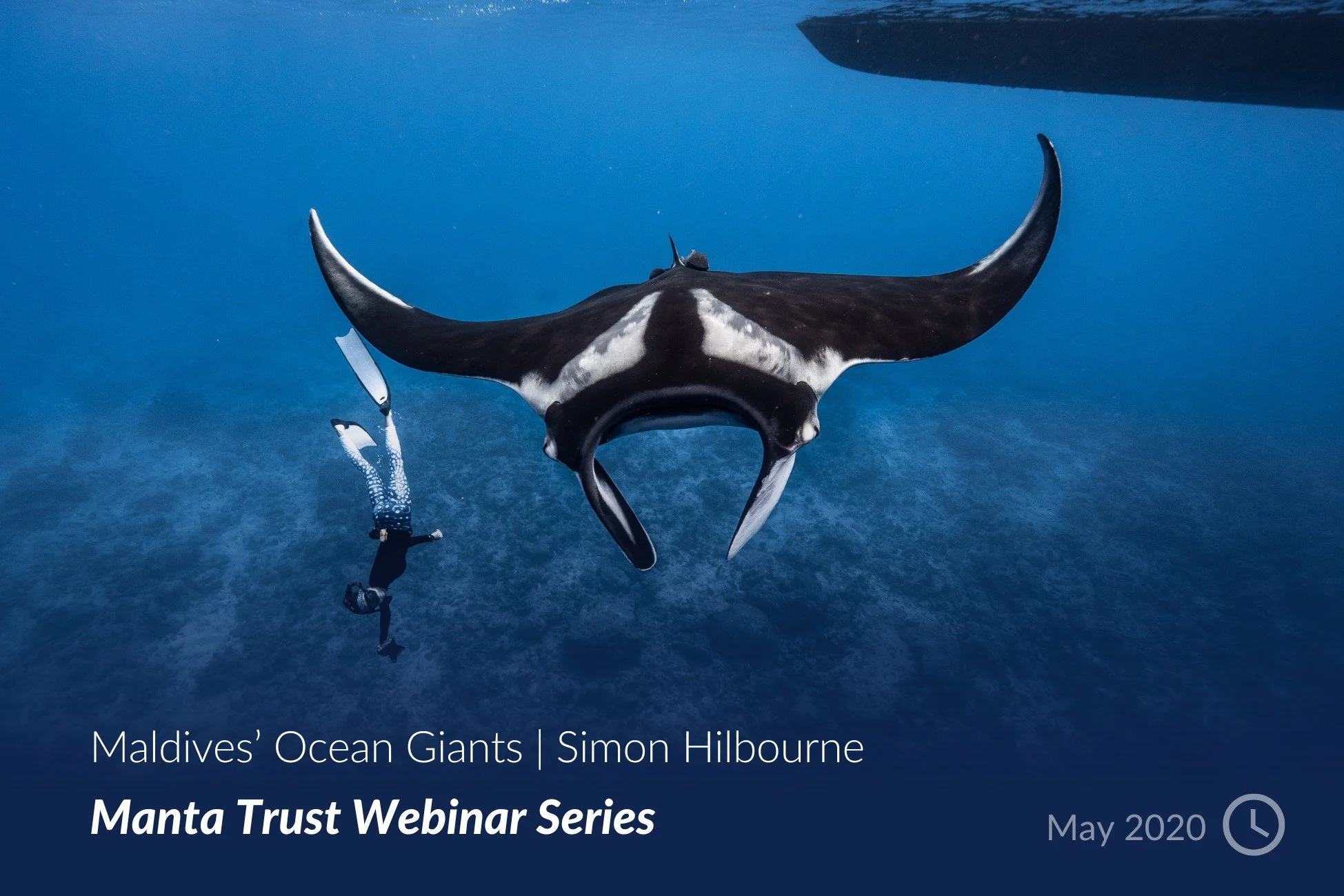 Maldives’ Ocean Giants - Simon Hilbourne.jpg
