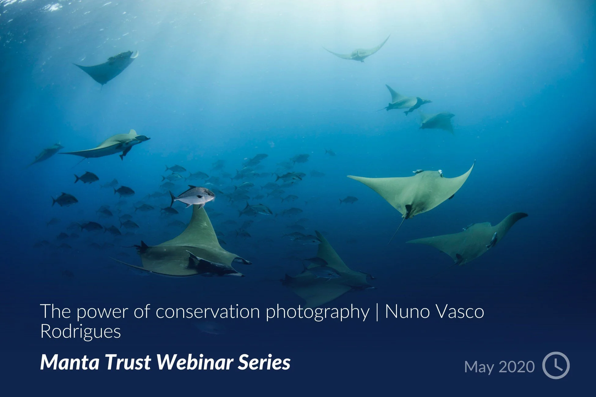 The power of conservation photography _ Nuno Vasco Rodrigues.jpg