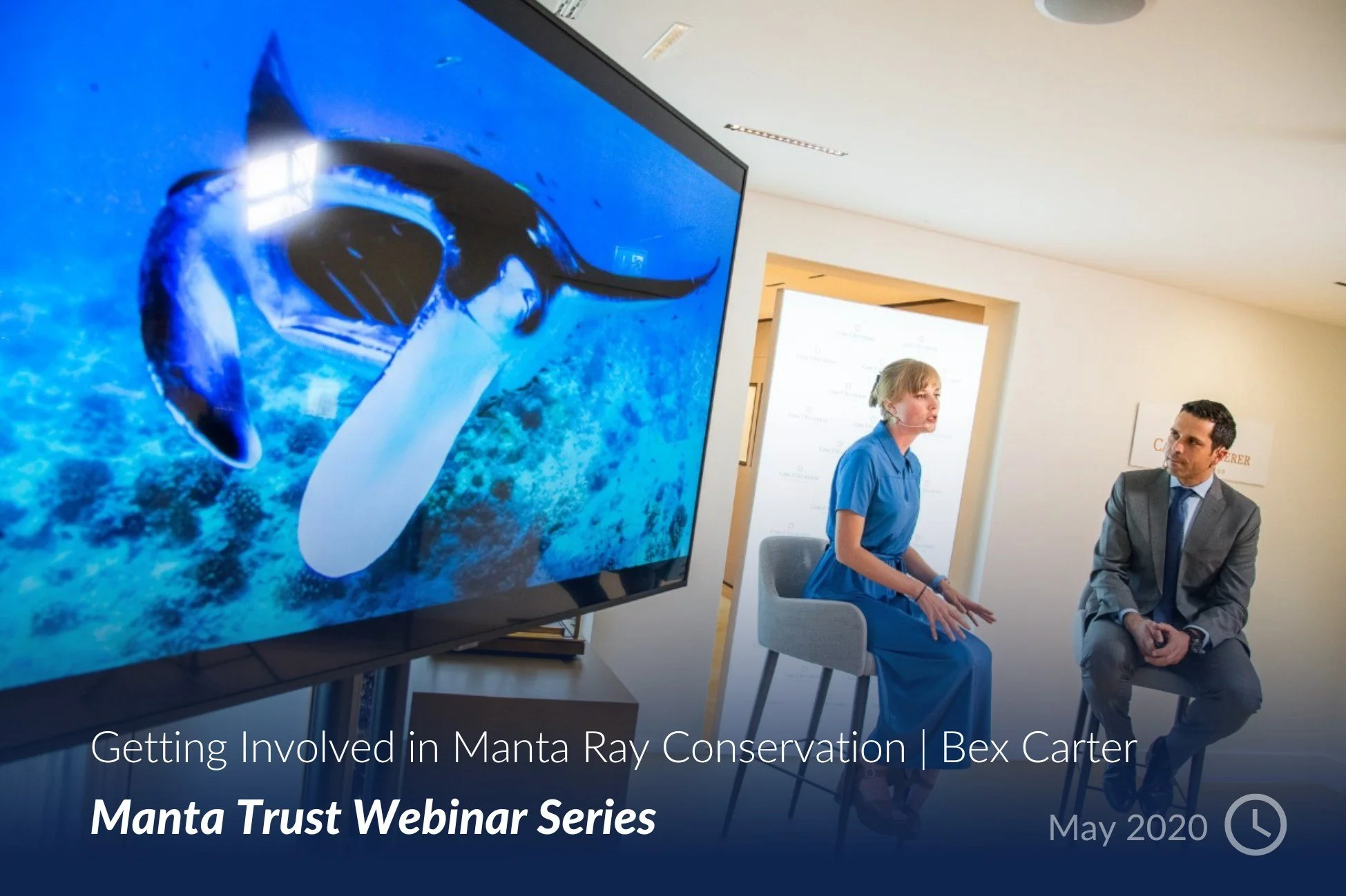 Getting Involved in Manta Ray Conservation  Bex Carter.jpg