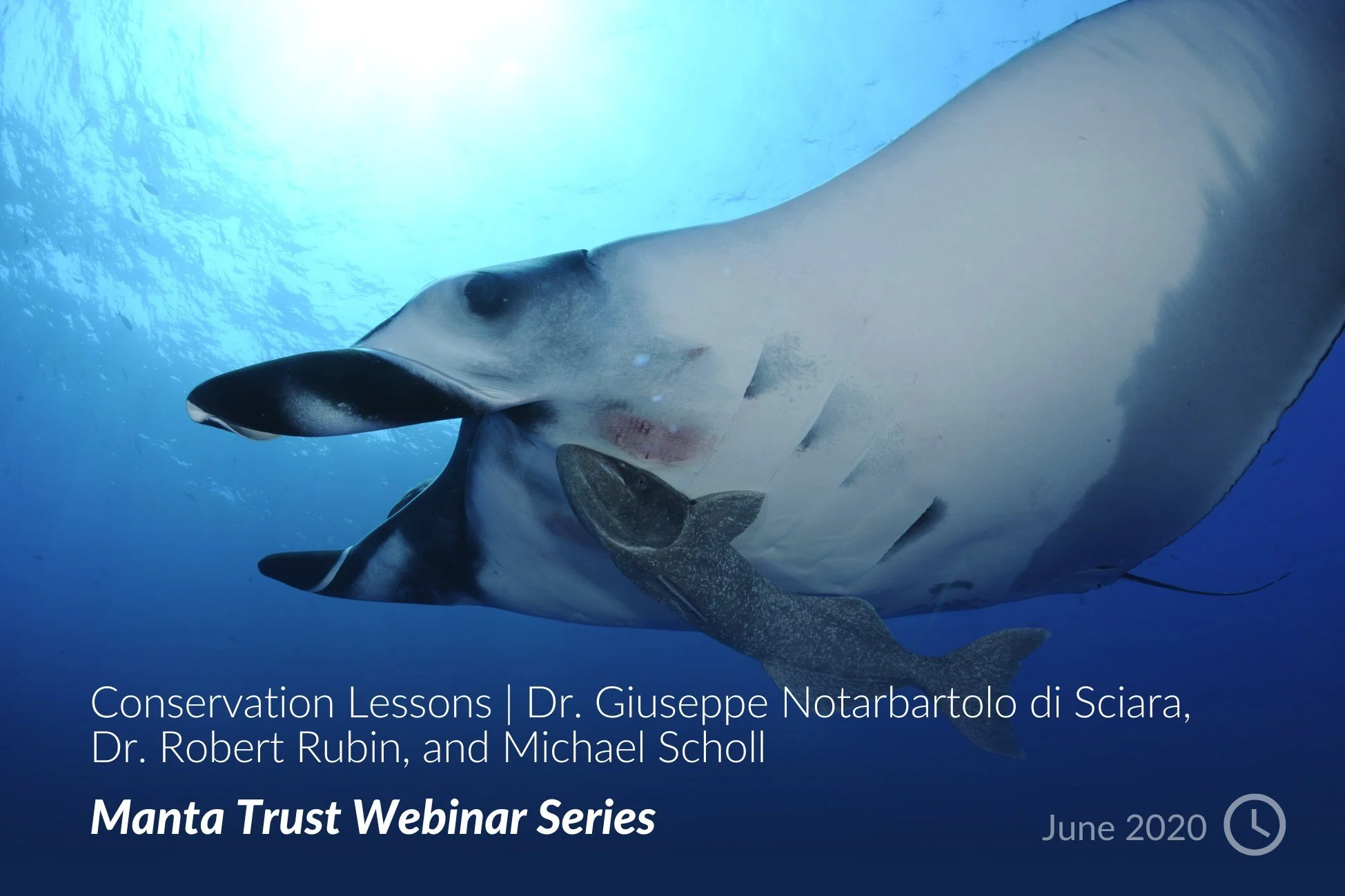 Conservation Lessons _ Dr. Giuseppe Notarbartolo di Sciara, Dr. Robert Rubin, and Michael Scholl.jpg