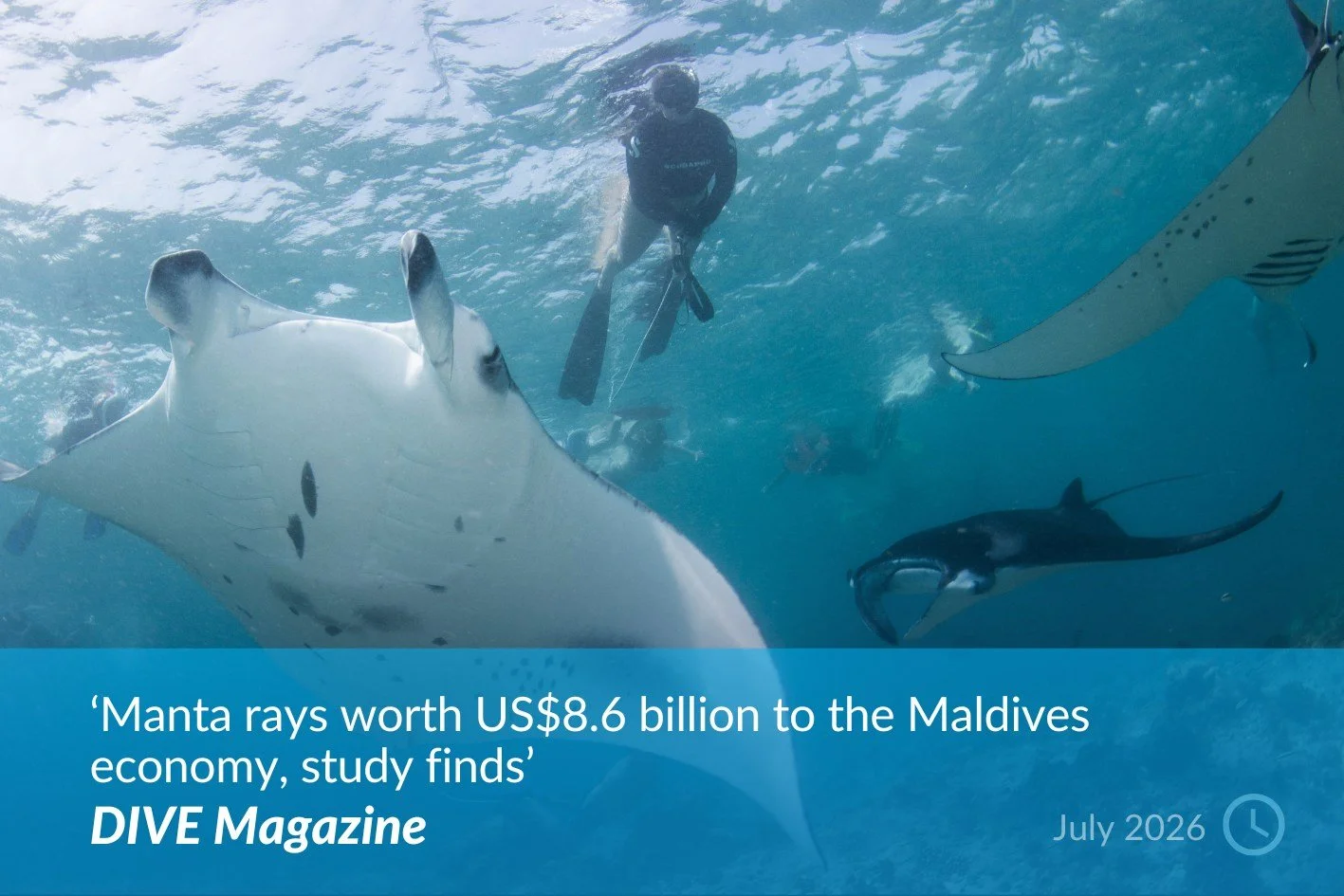DIVE Magazine.jpg