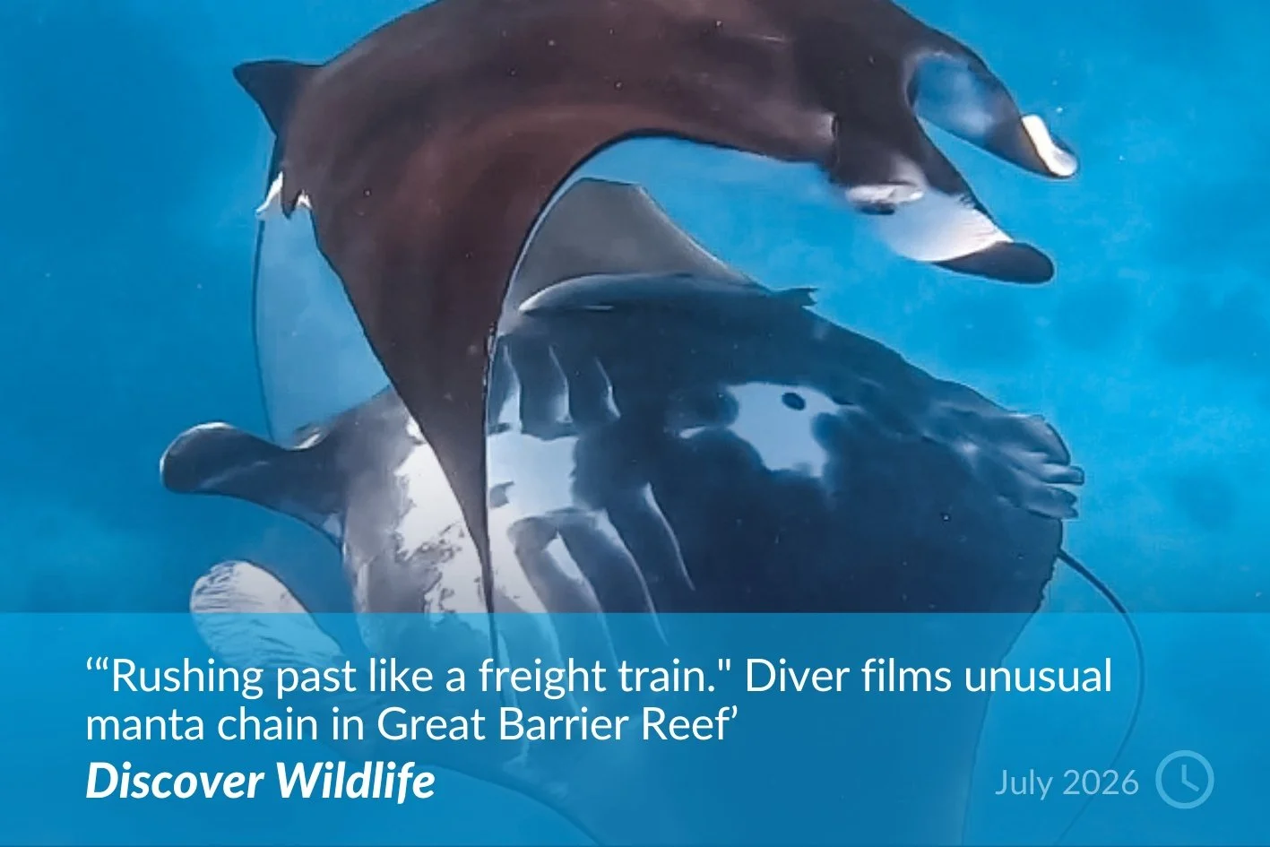 Discover Wildlife.jpg