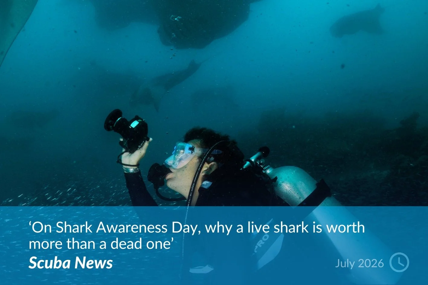 Scuba News.jpg