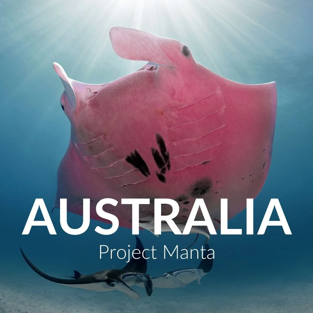 Australia.jpg