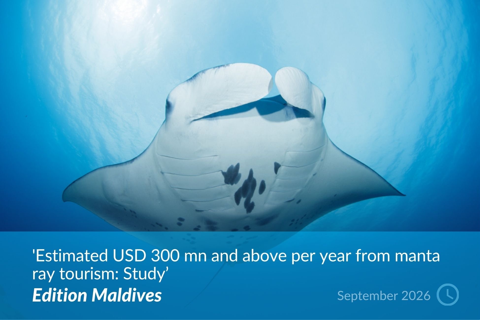 Edition Maldives.jpg