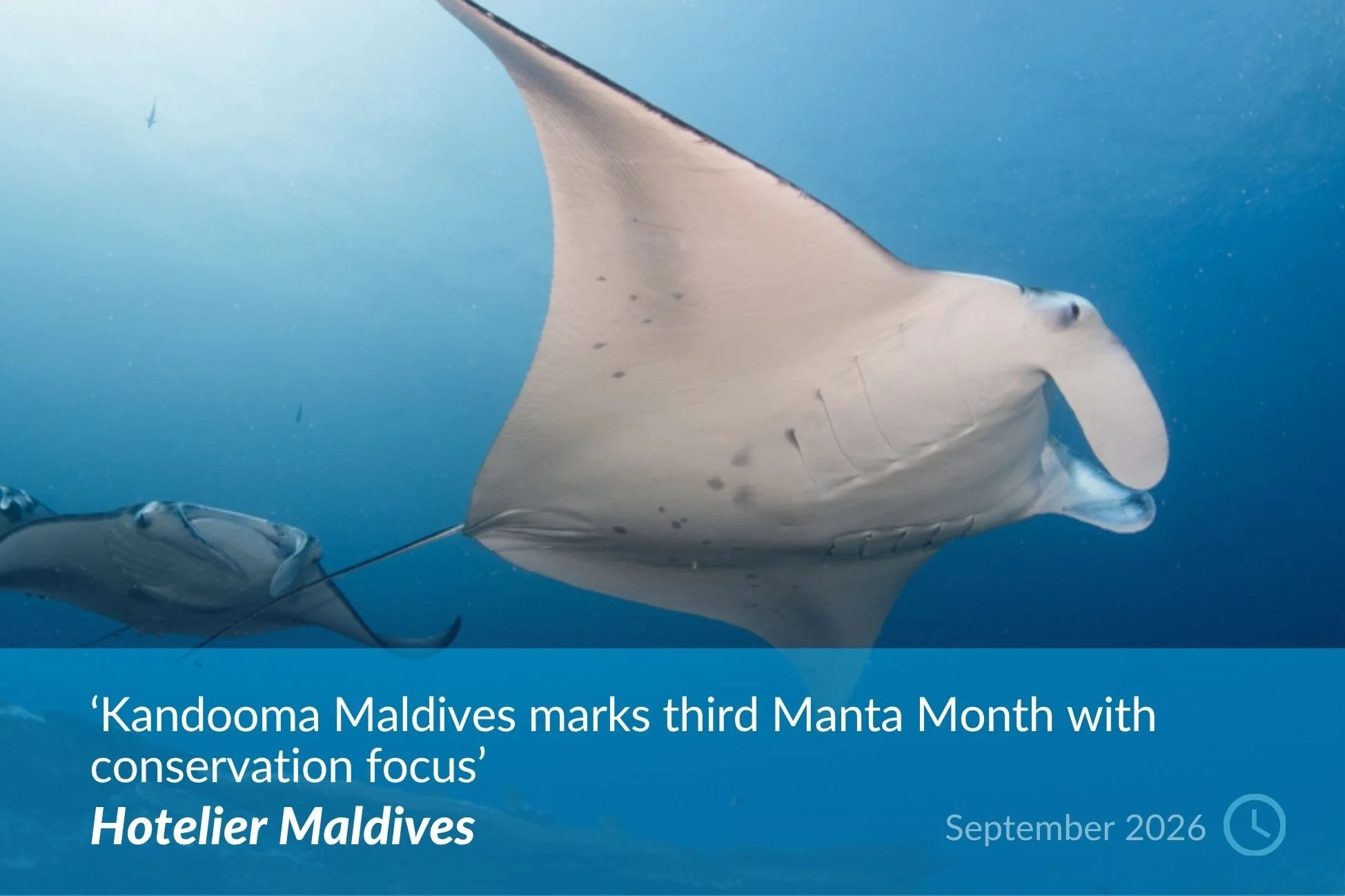 Hotelier Maldives.jpg