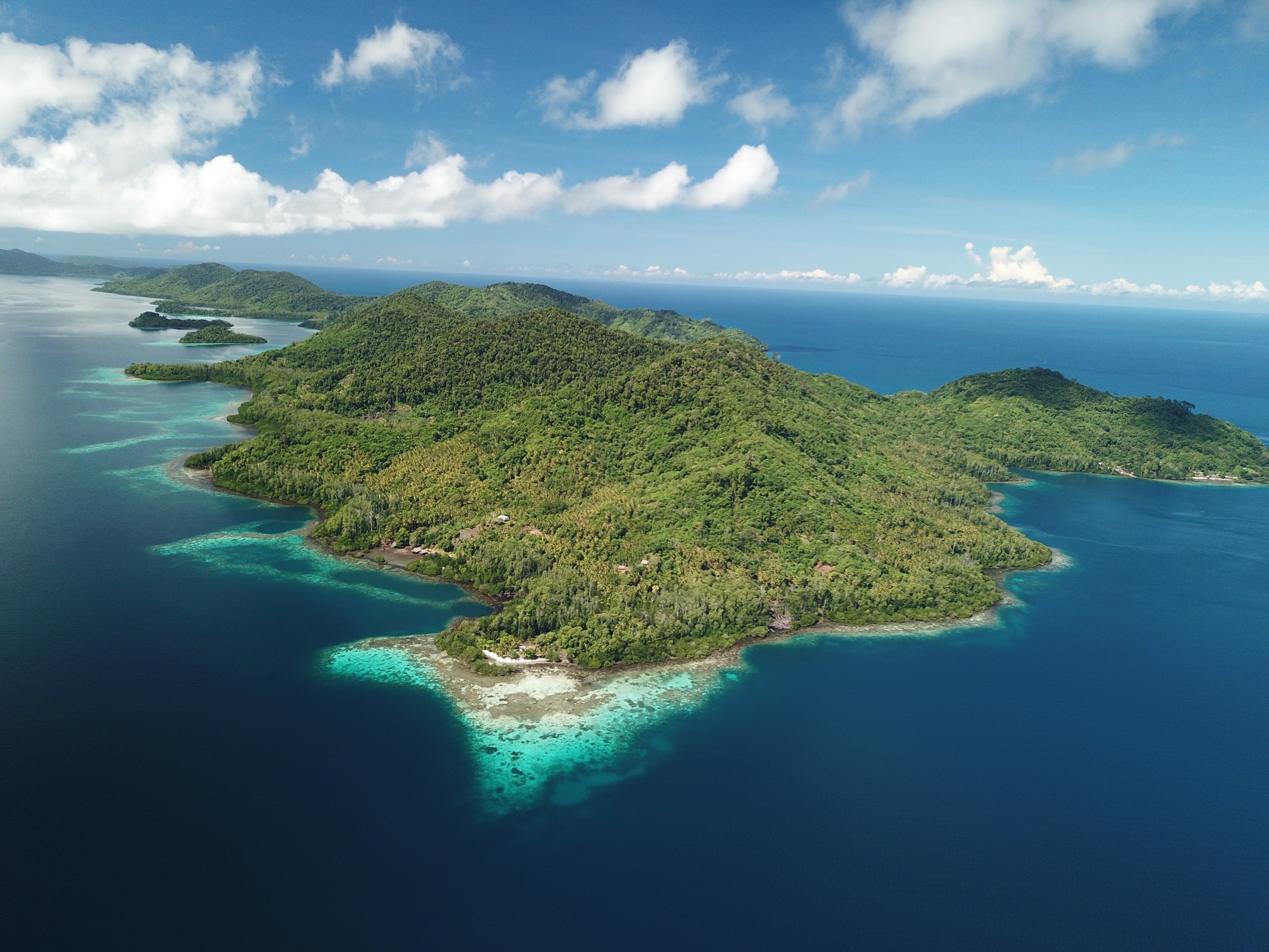 Study Site_Papua New Guinea_Mark Erdmann_2.JPG