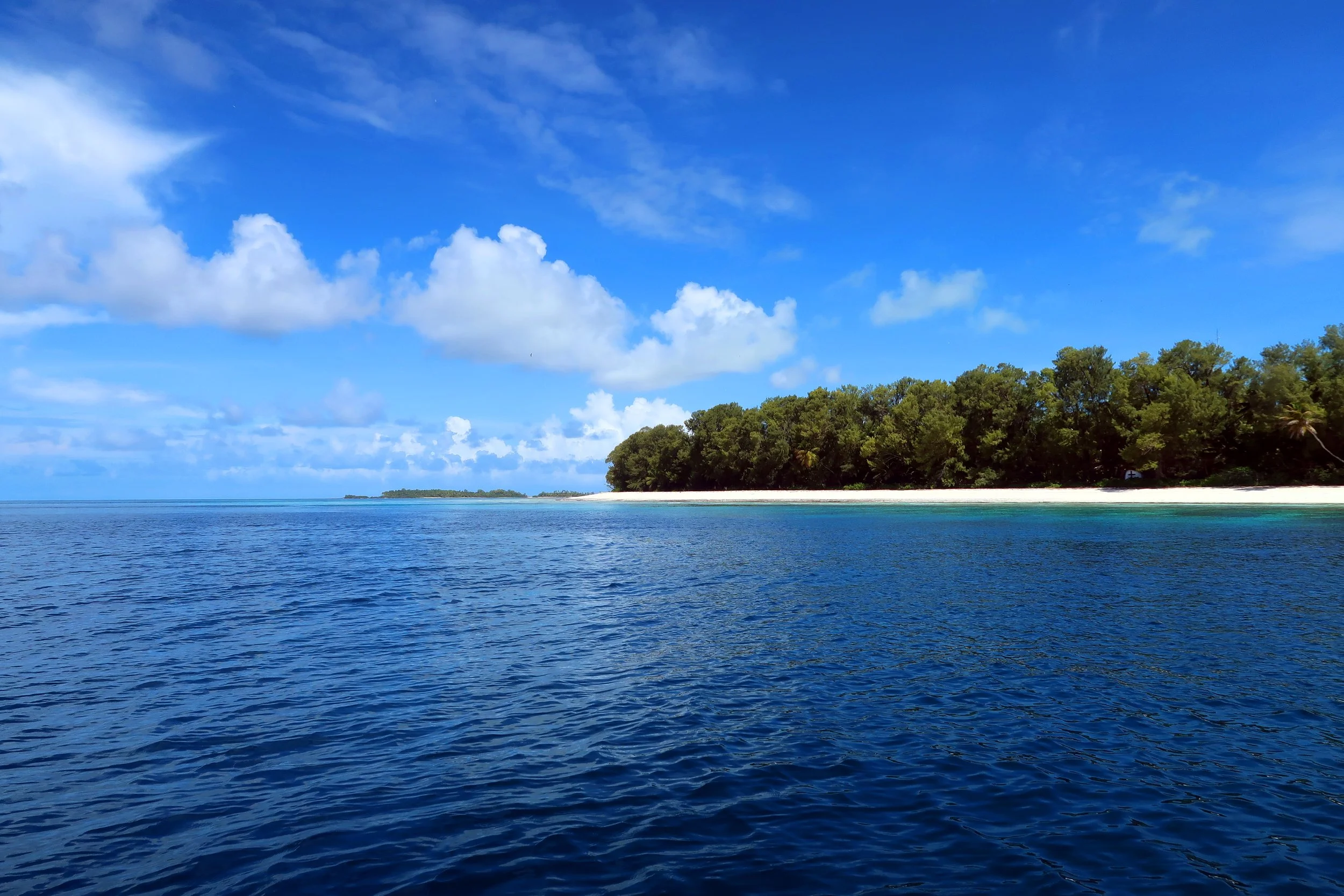 Landscapes_Seychelles_Lauren Peel_Seychelles Manta Ray Programme_2.JPG
