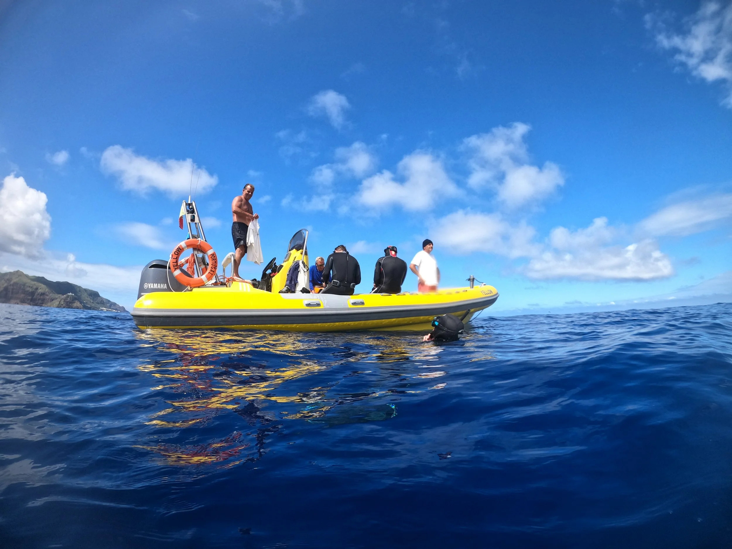 Manta Conservation Experience - Azores — Manta Trust