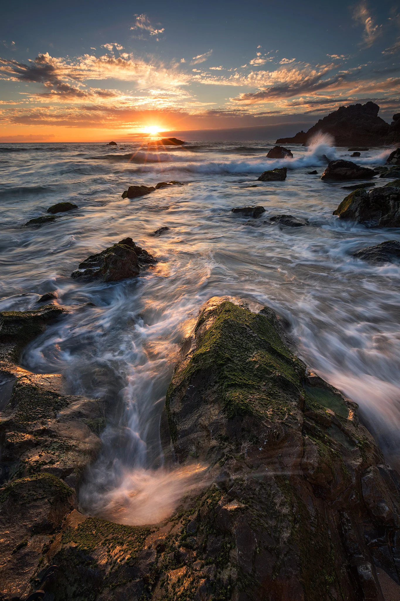 Photo by Ramunas