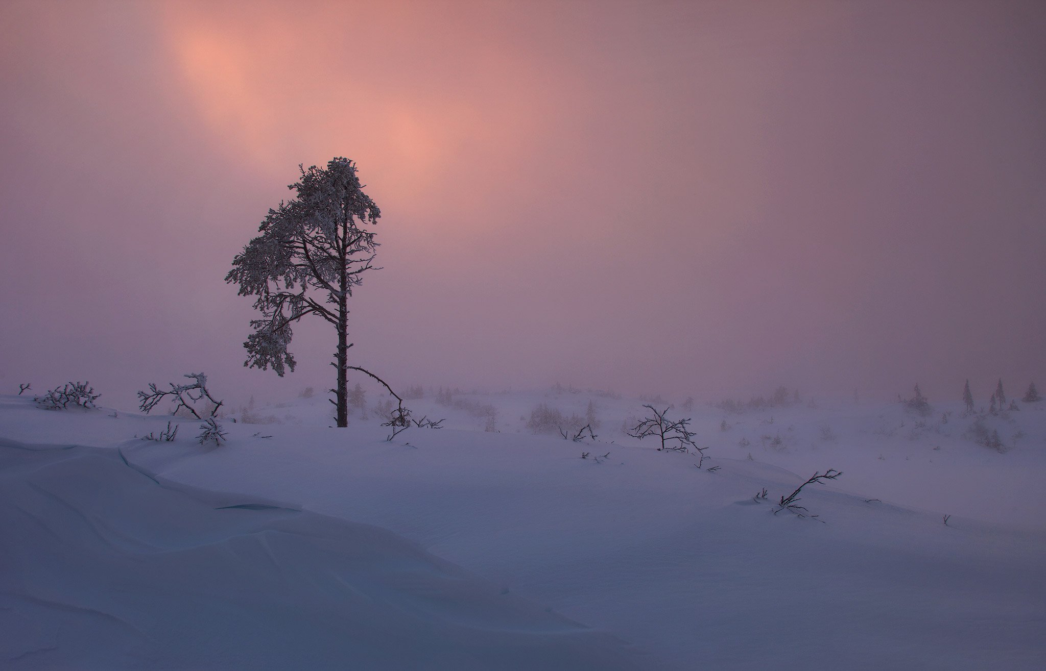 Lights-in-the-fog.jpg