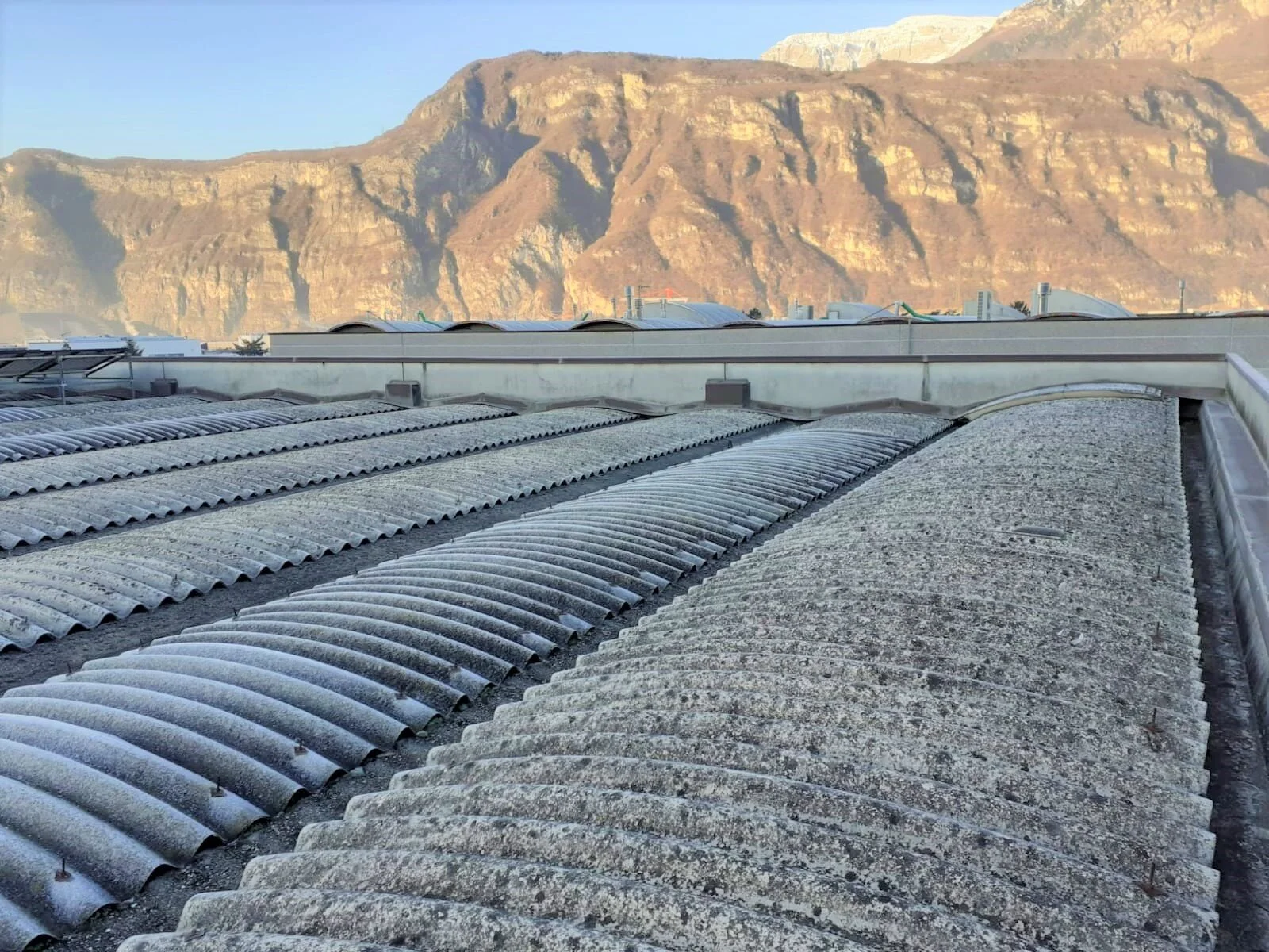 4e6dbbc1-d142-4ded-aa9d-4094cd6f4d2e (1).jpg