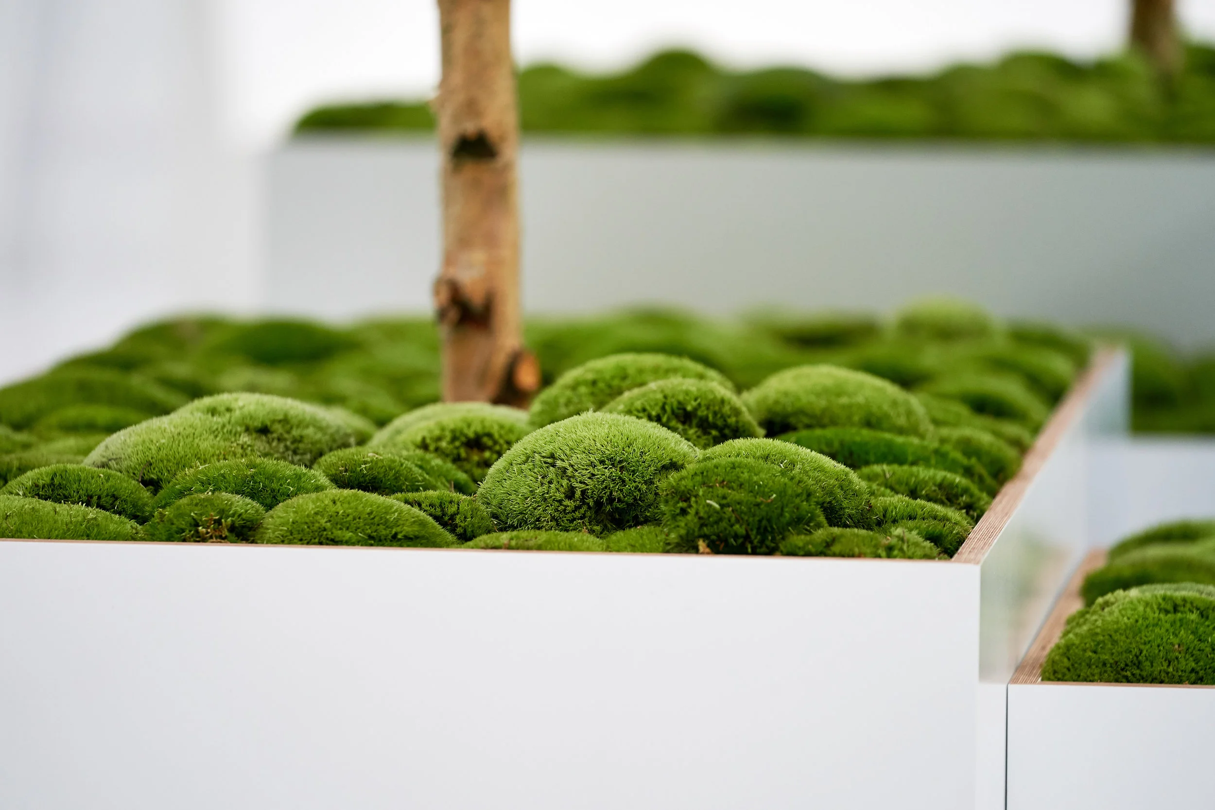 Nucleus at the CASS Sculpture Foundation during Goodwood's Festival of Speed.