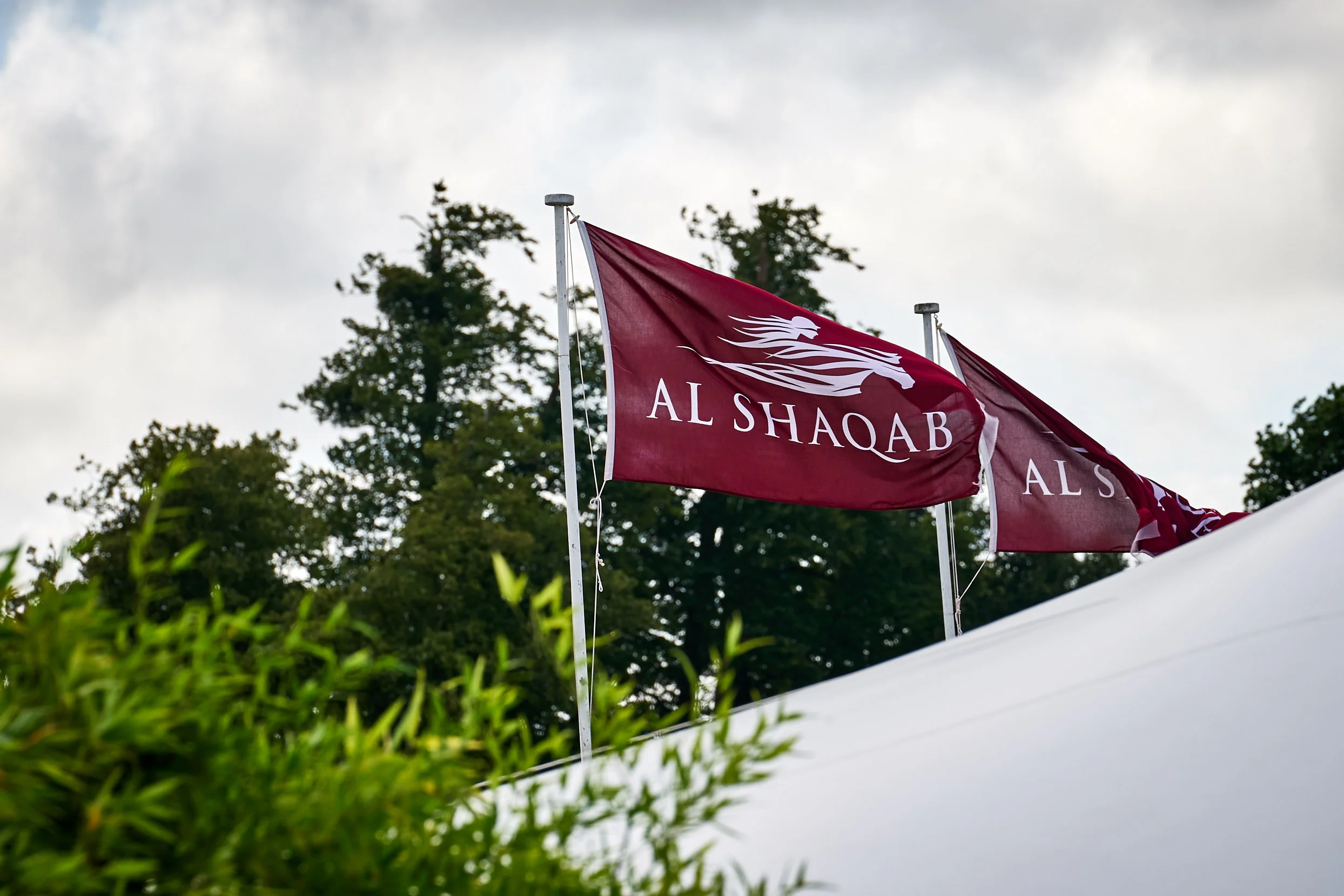 Cowdray Polo Hospitality and Private Party for Qtar Royal Family and Goodwood clients