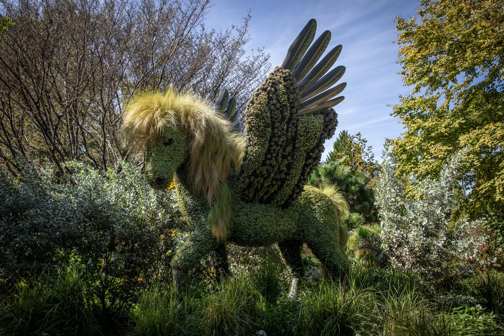 Pegasus.