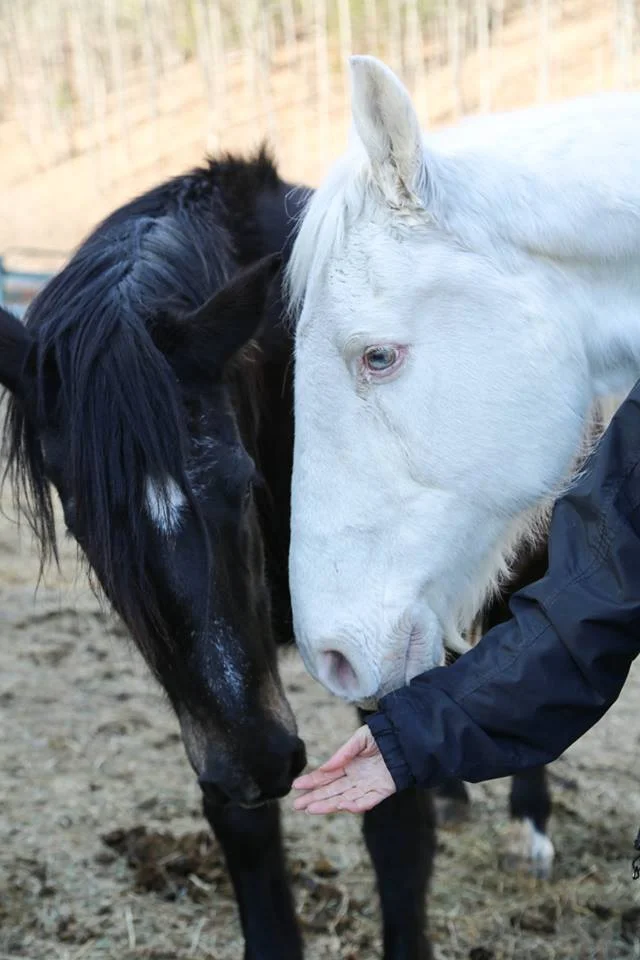 CASPER AND ANGEL.jpg