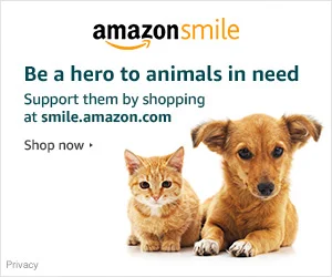 Shop Amazon Smile