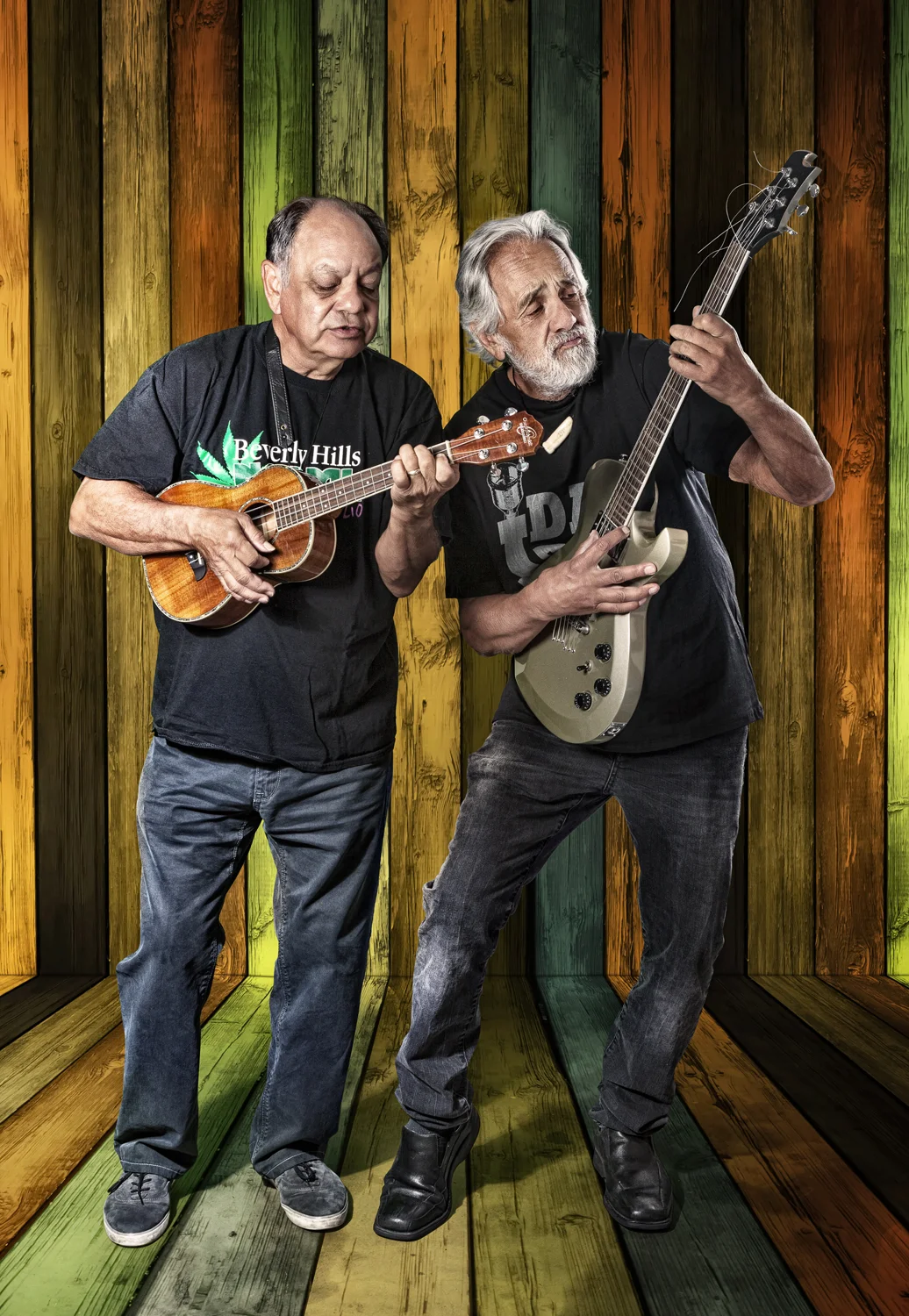Cheech and Chong