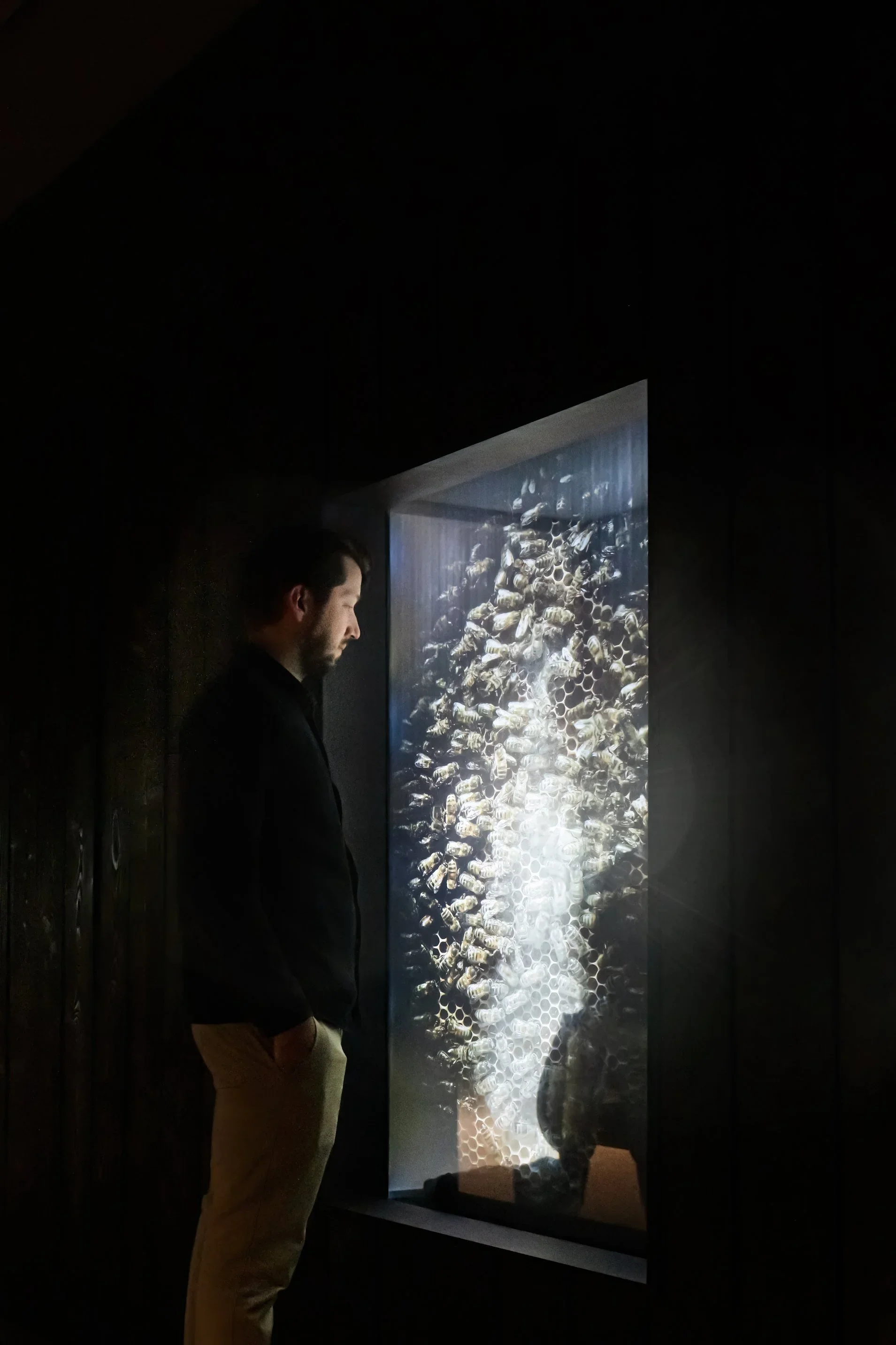 Bees+Ehibition-004.webp