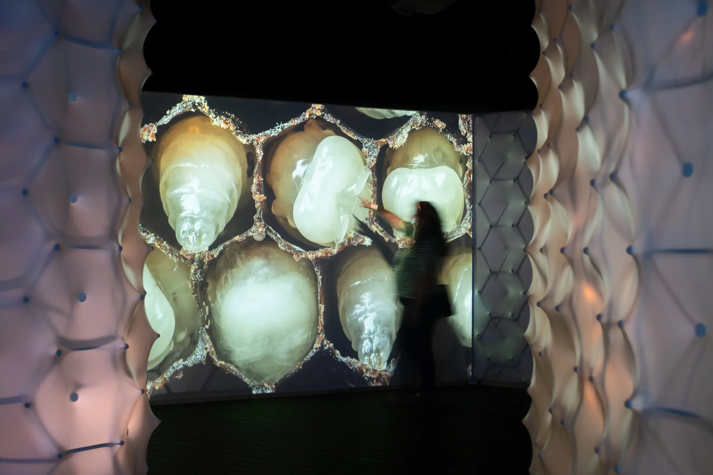 Bees+Ehibition-020.webp