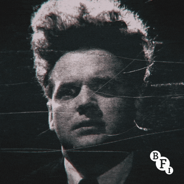 BFI Discomfort Season
