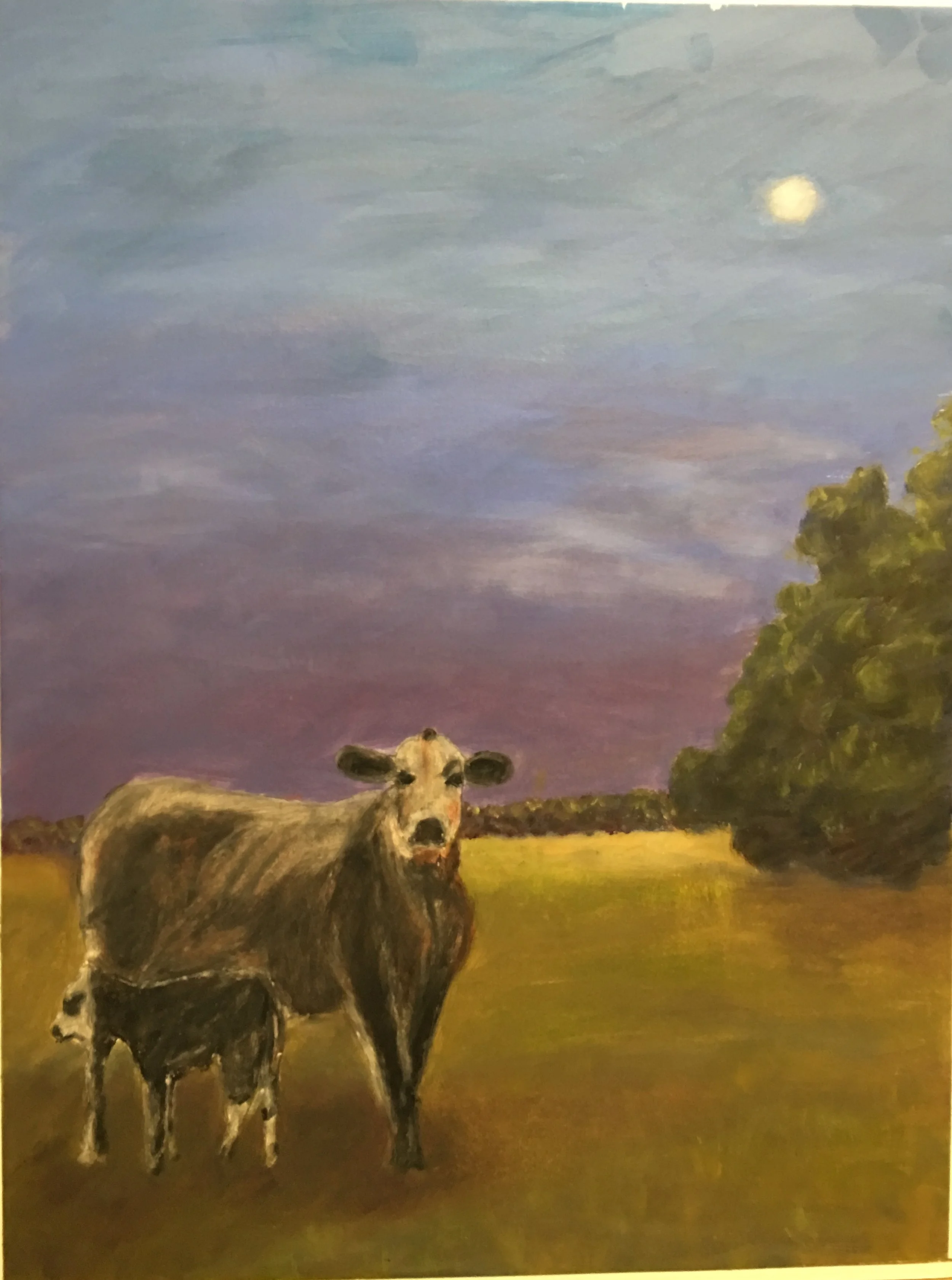 Something in the way She Moos  