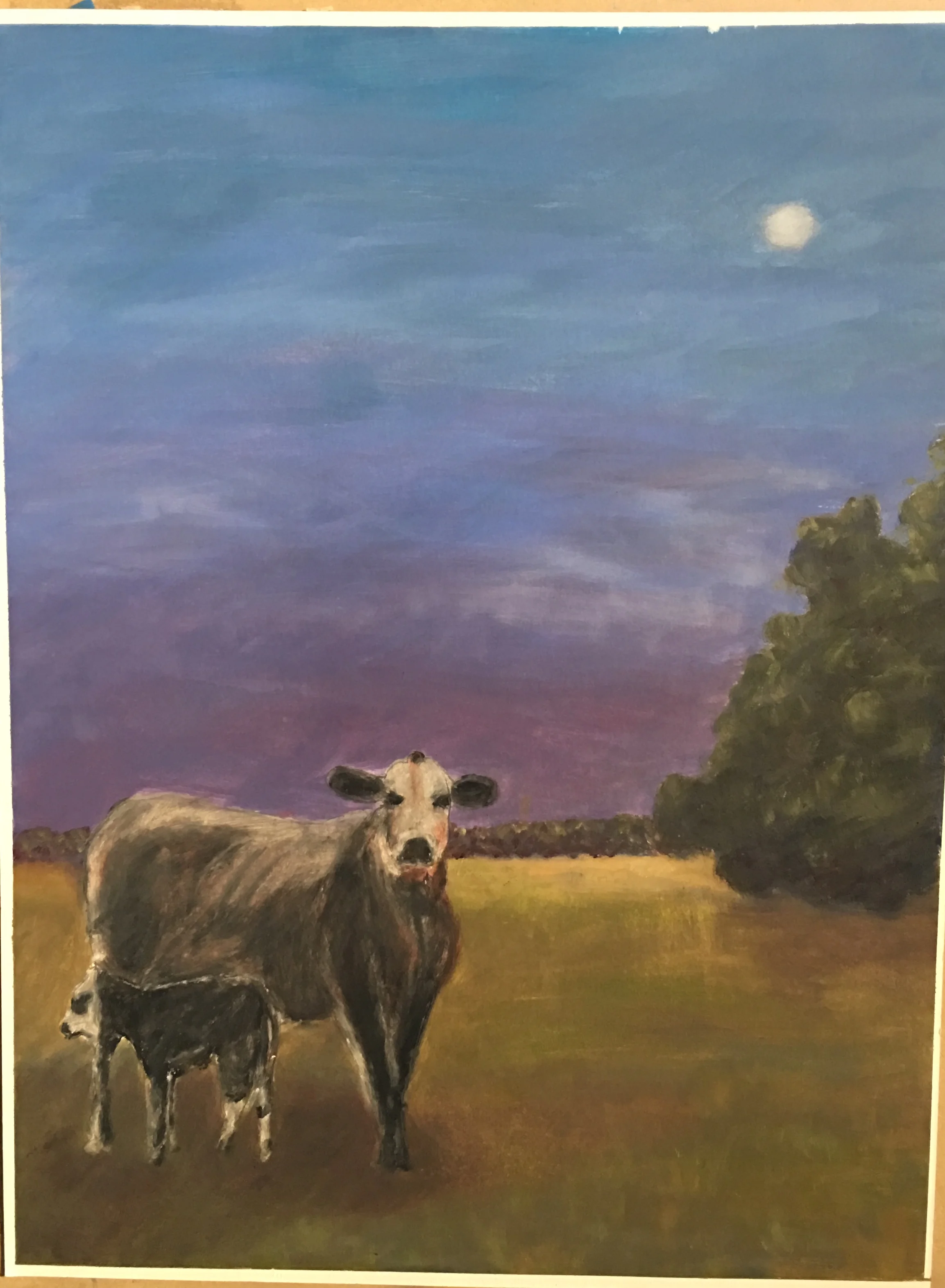 Something in the way She Moos