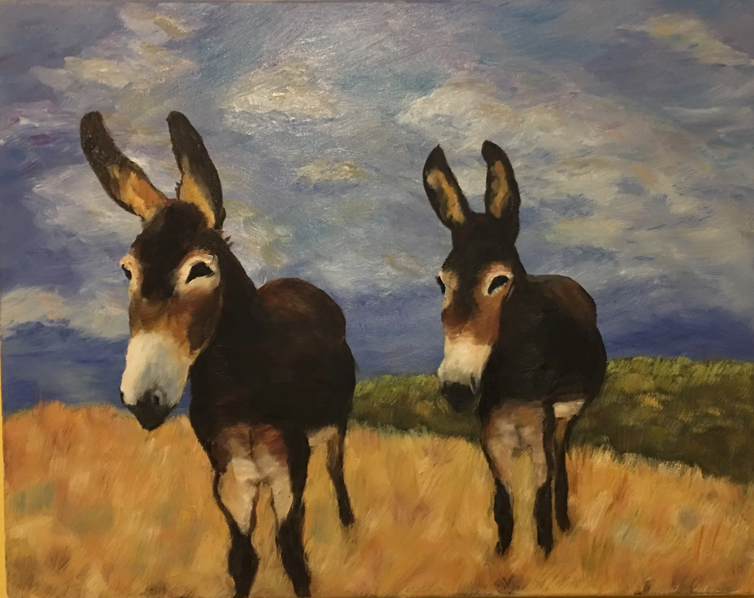 Burros