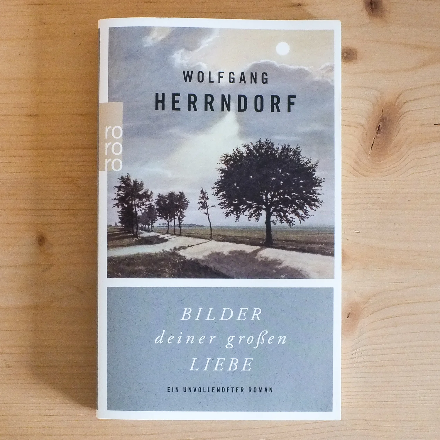 Wolfgang Herrndorf, Bilder Deiner Großen Liebe: Ein Unvollendeter Roman (Berlin: Rowohlt, 2014). Buch der Woche vom 15. Juli 2017