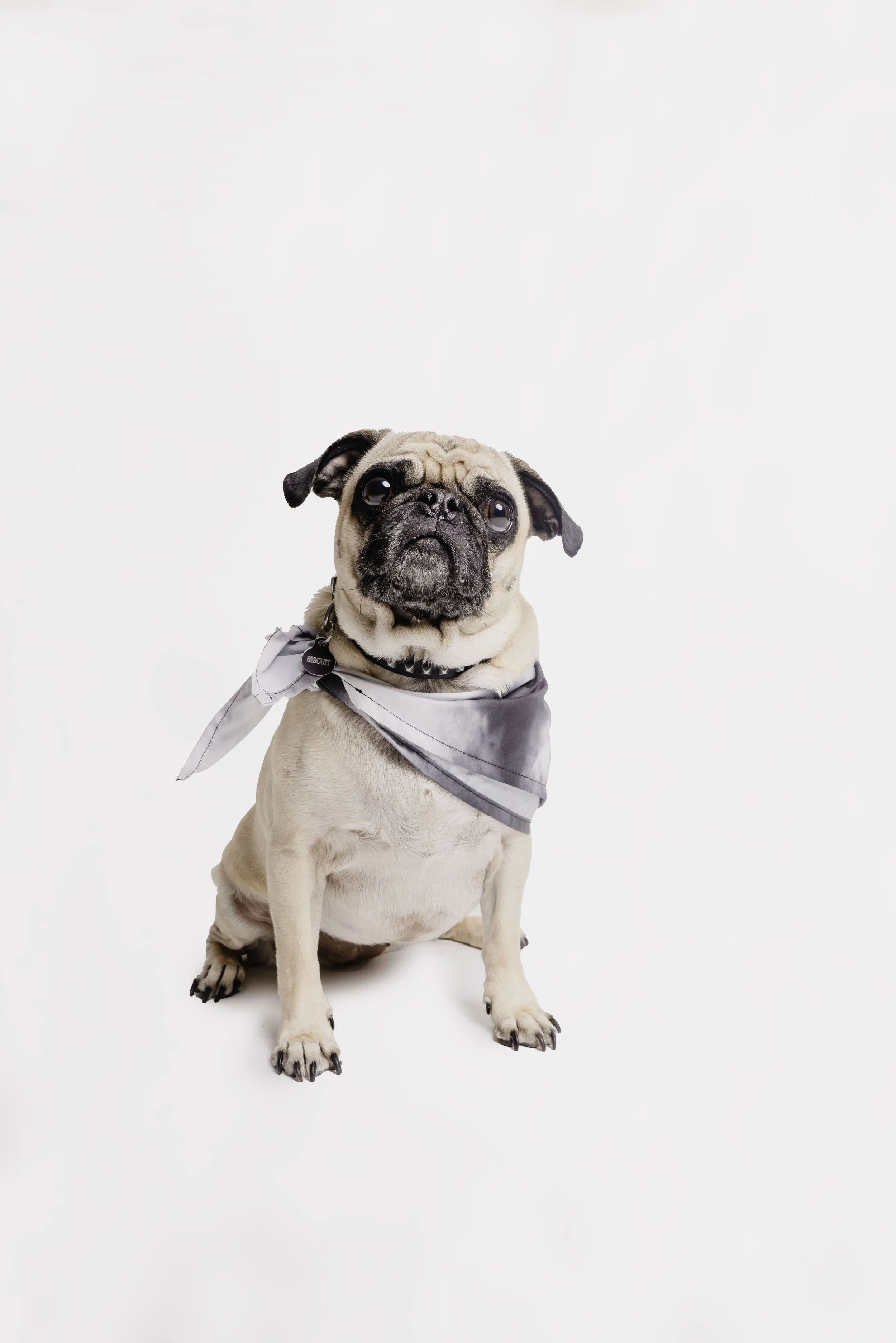 DSC09973-Edit copy.jpg