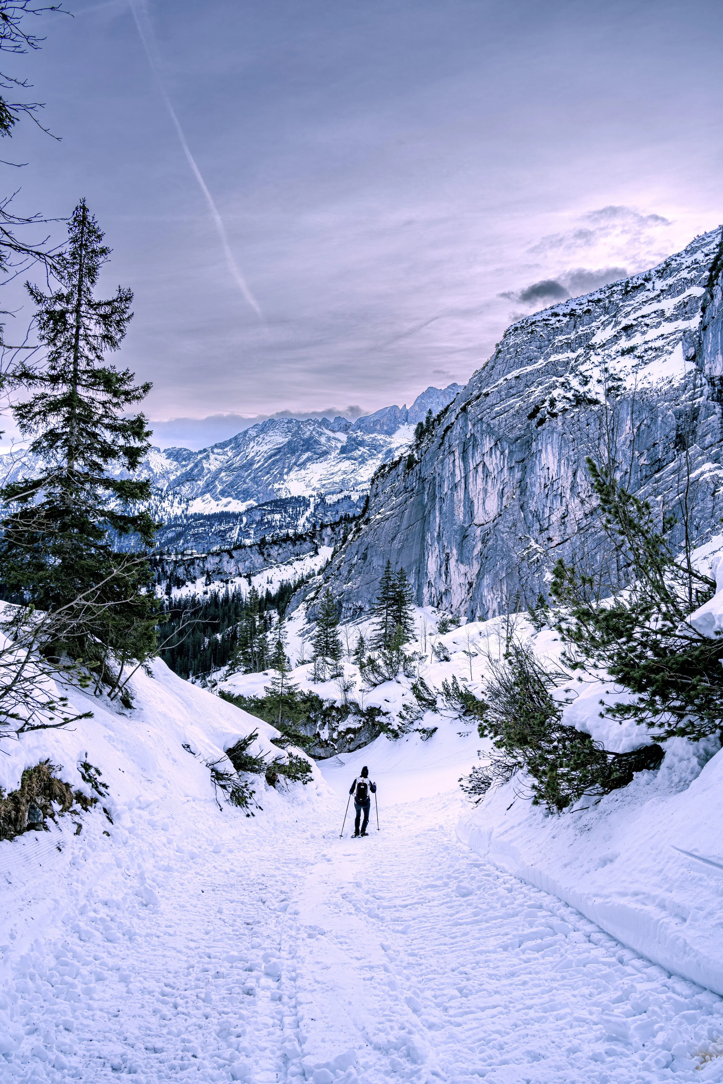 RCB01028-4b muted sm.jpeg