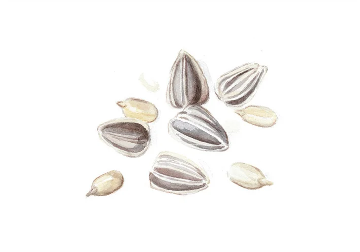 Sunflower Seeds