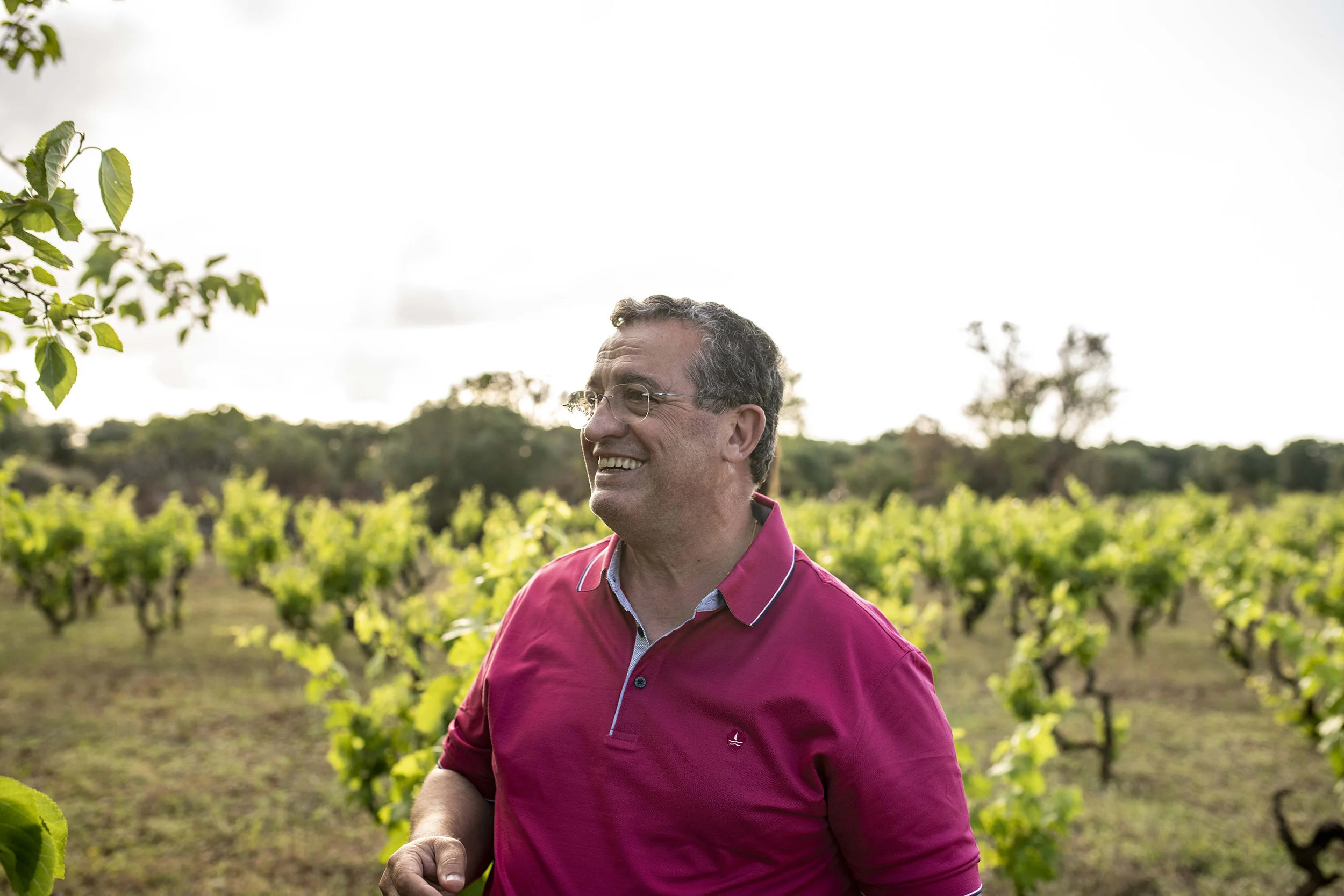 Hawesko Sekt - und Weinkontor