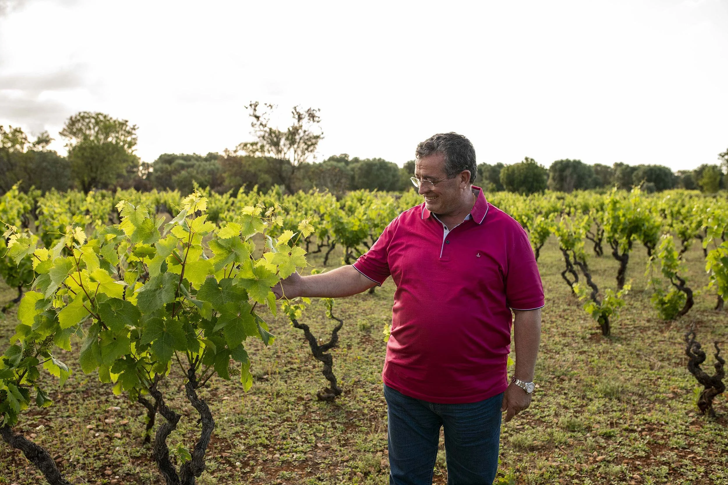 Hawesko Sekt- und Weinkontor
