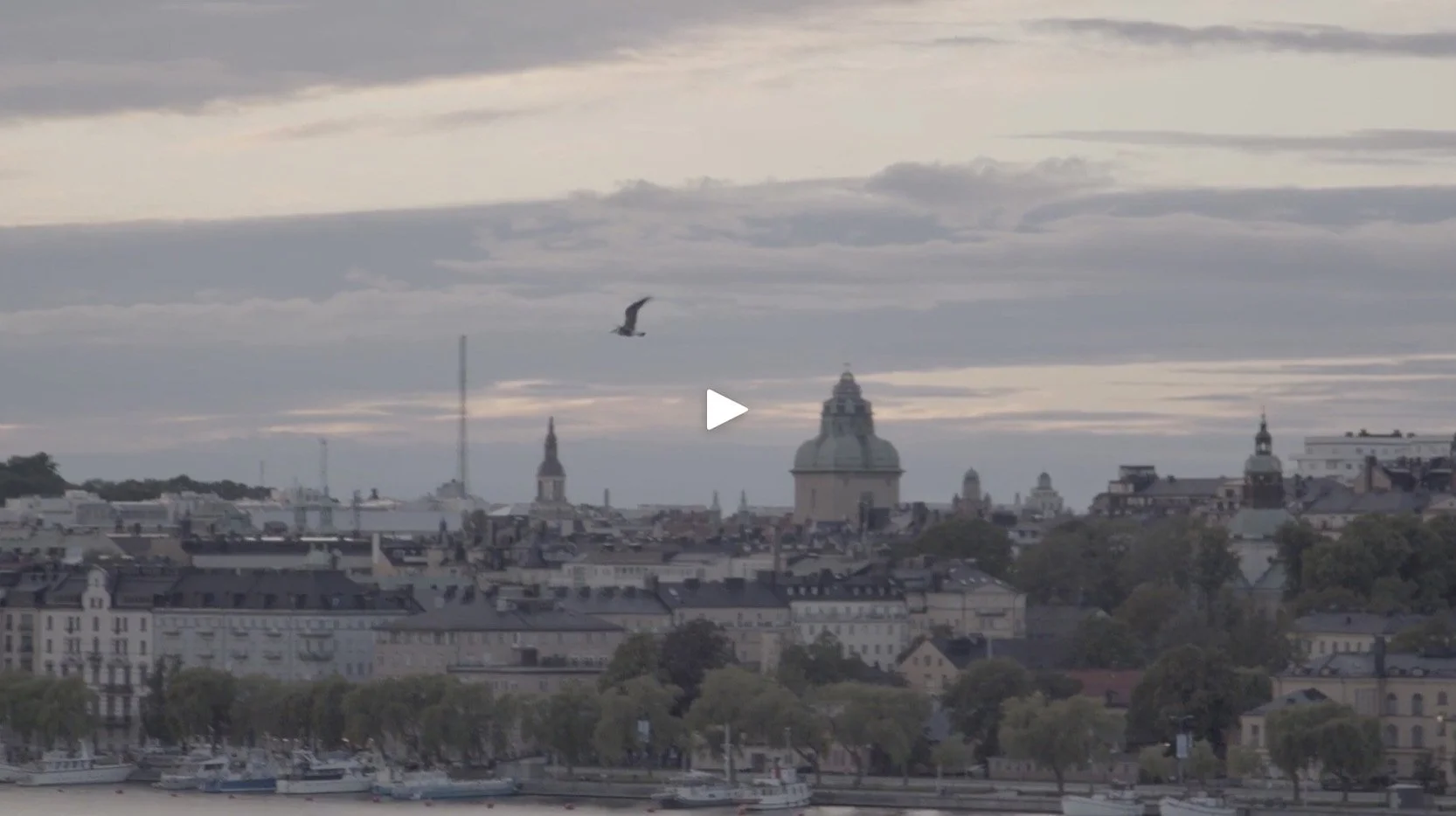 BBC StoryWorks – EIT Health 