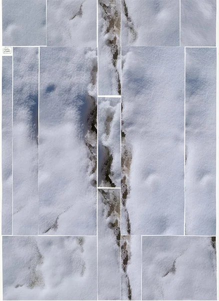 1-Neige2-small.jpg