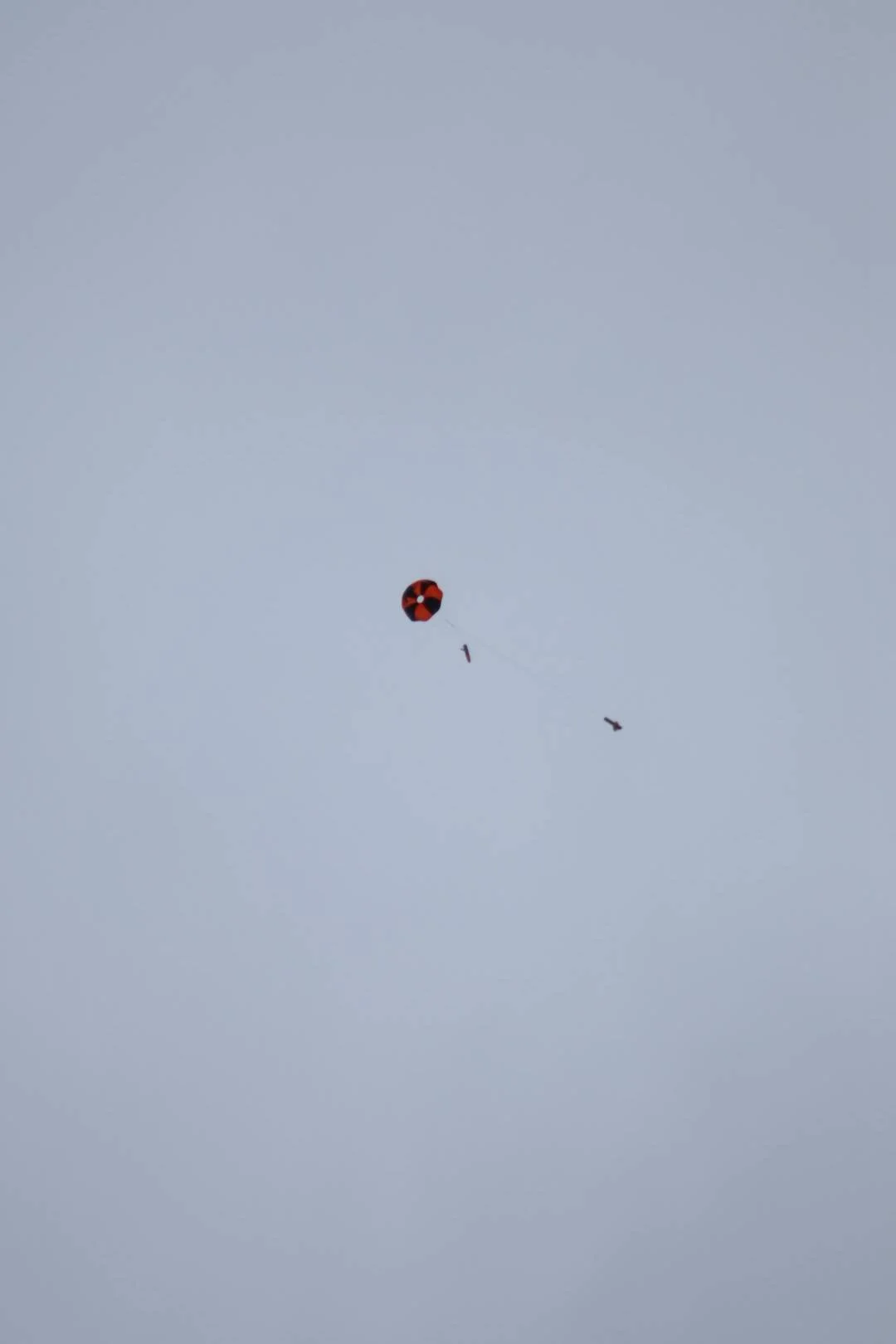 IMG_2088.jpg