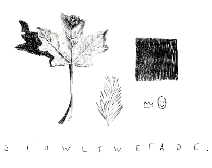 fading.jpg