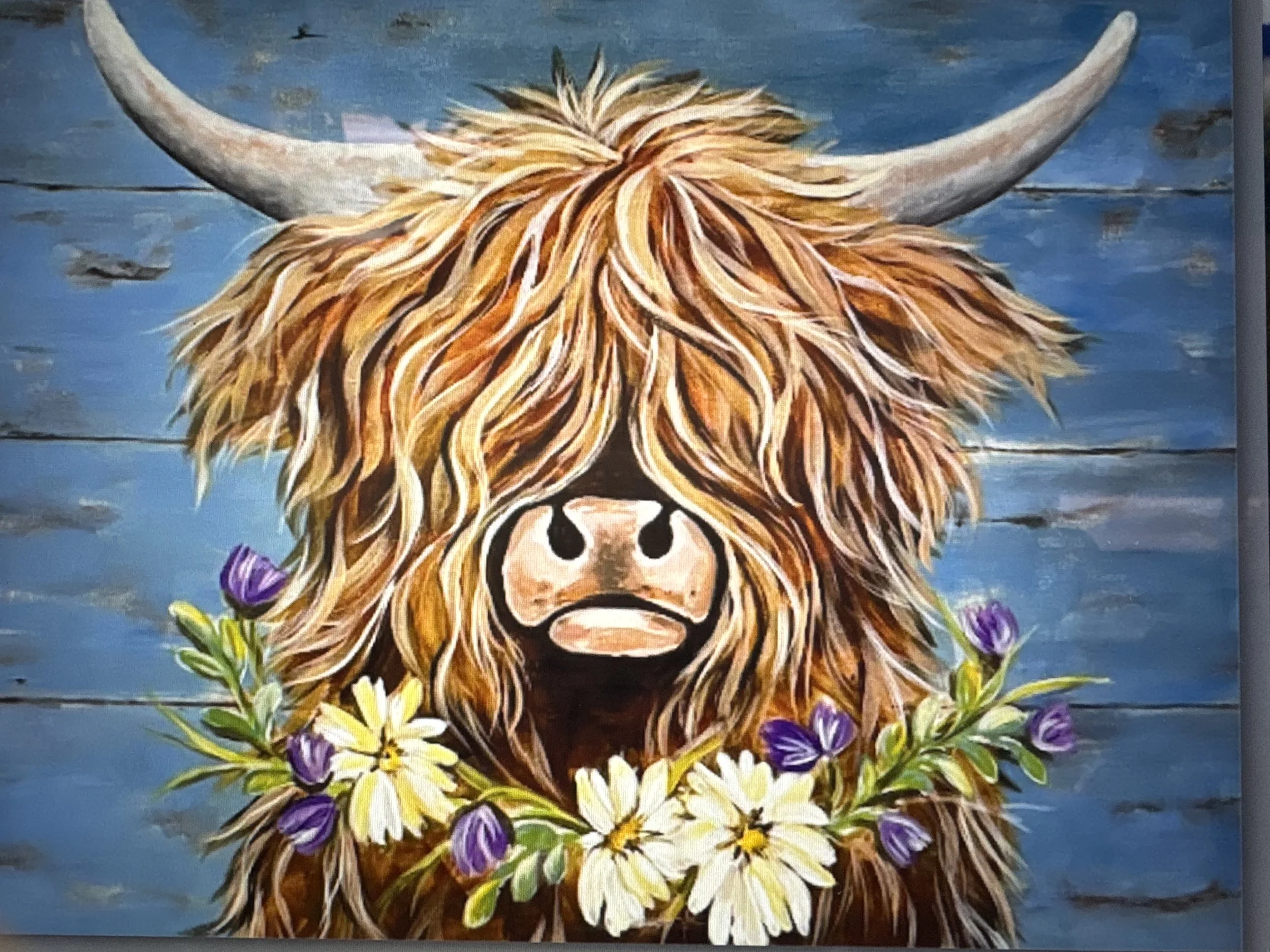HighlandCOW.JPG