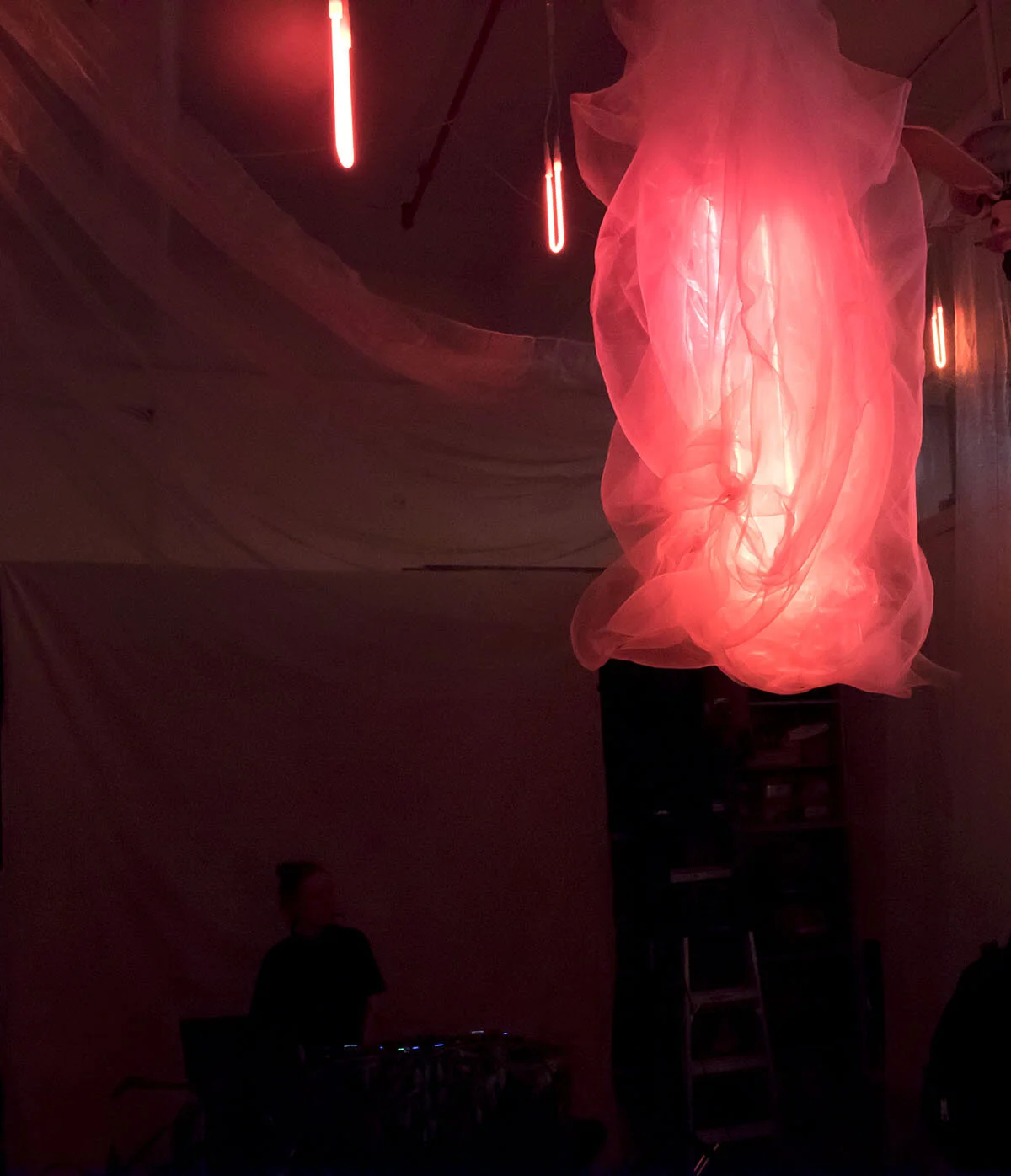 Anahita Bradberry’s neon chrysalis