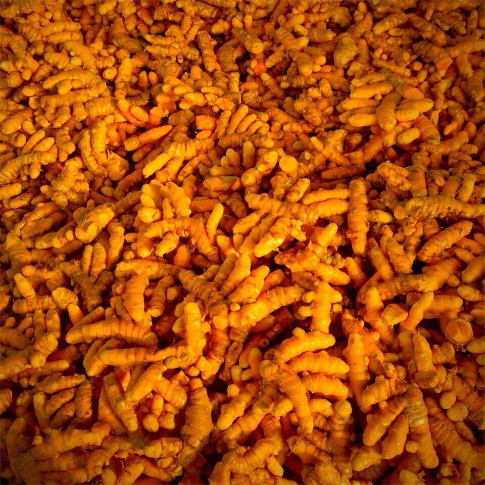 Fresh Organic Turmeric.jpeg