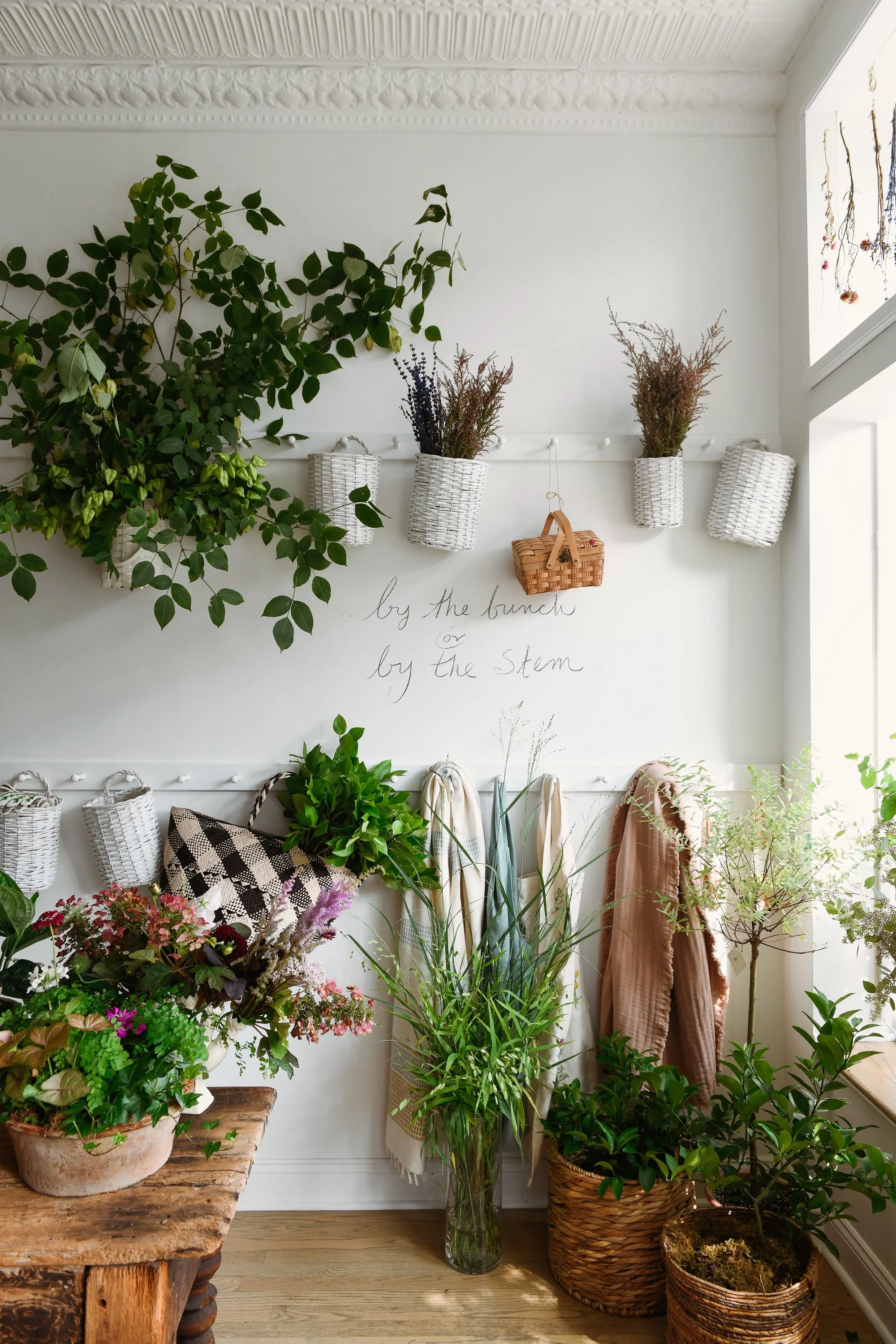 FOX AND THE FLEUR- Sewickley 2023 WEB-5.jpg