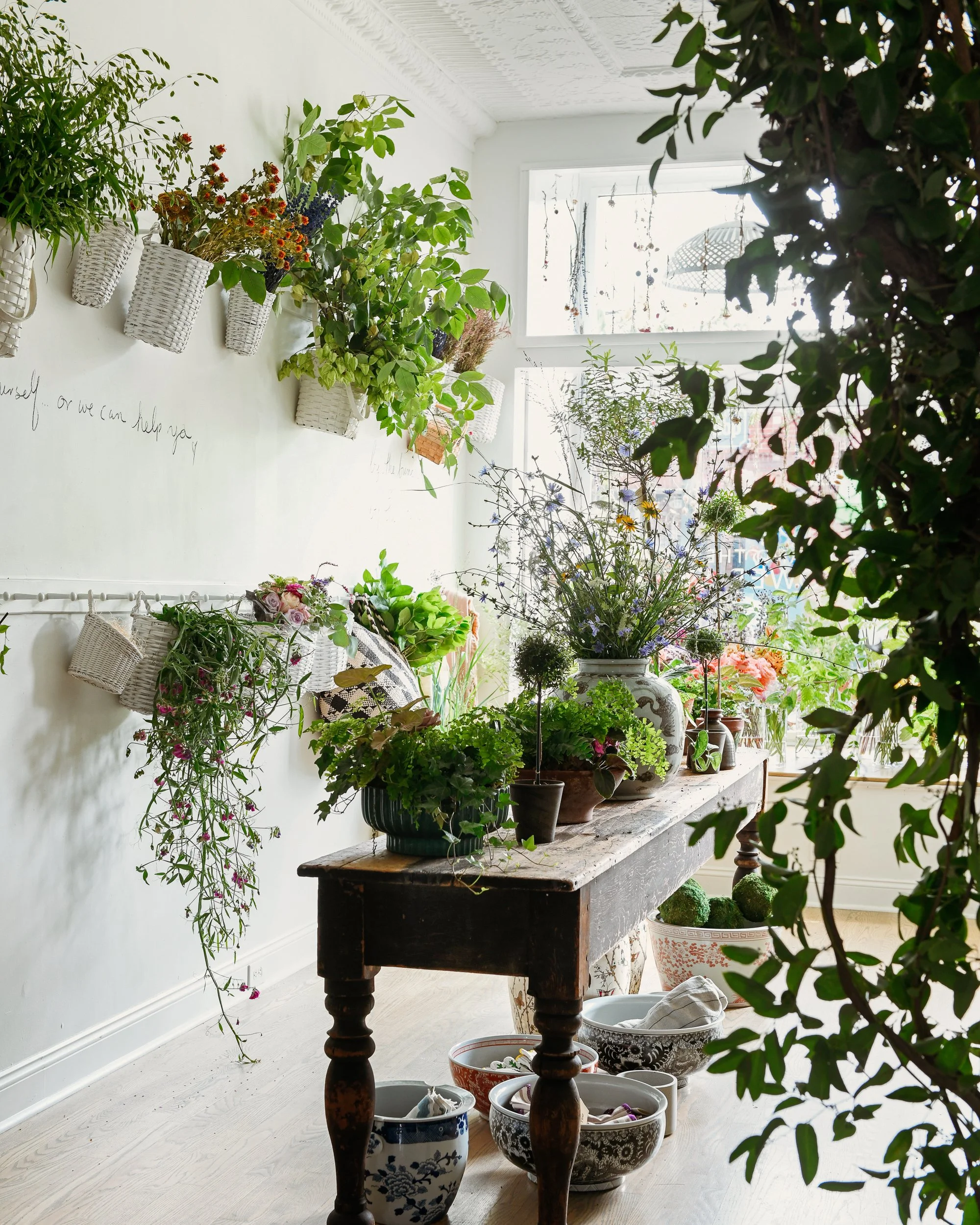 THE FOX AND THE FLEUR PROJECT