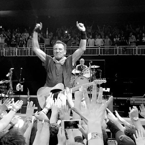 Bruce Wins.jpg